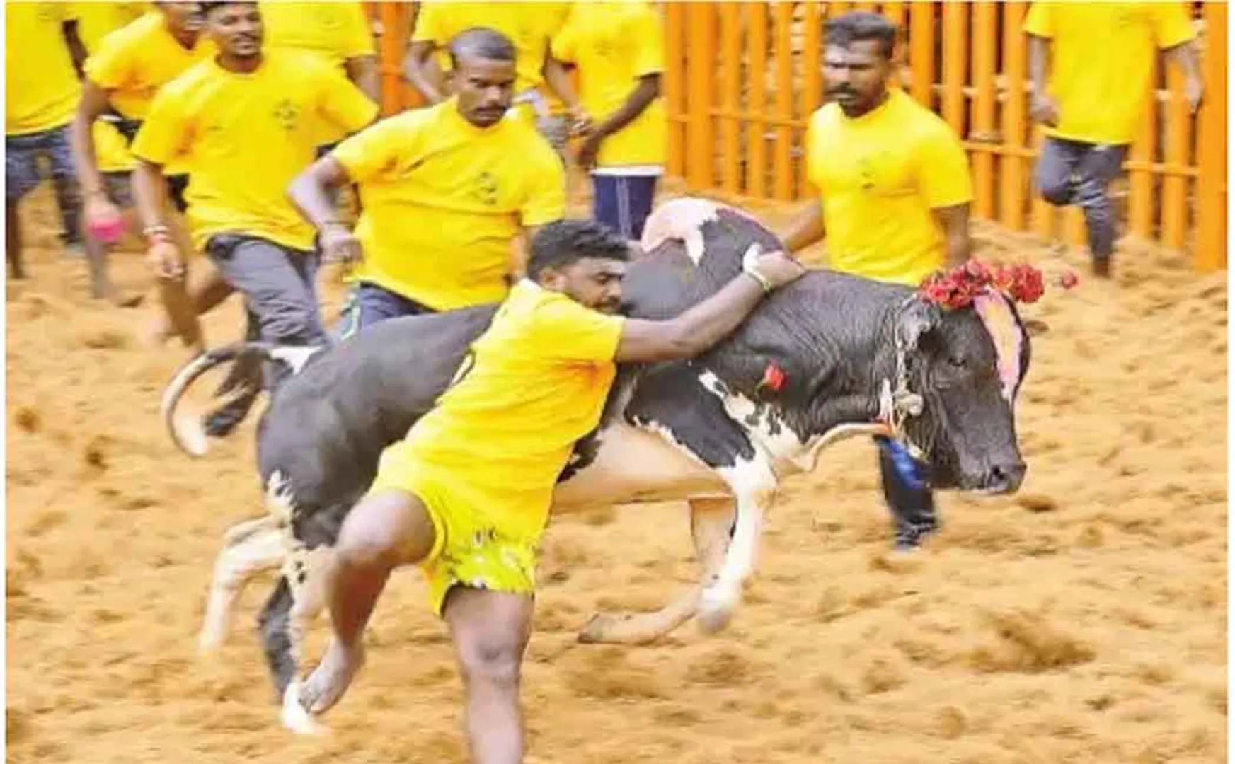 jallikattur in salem district police peoples 