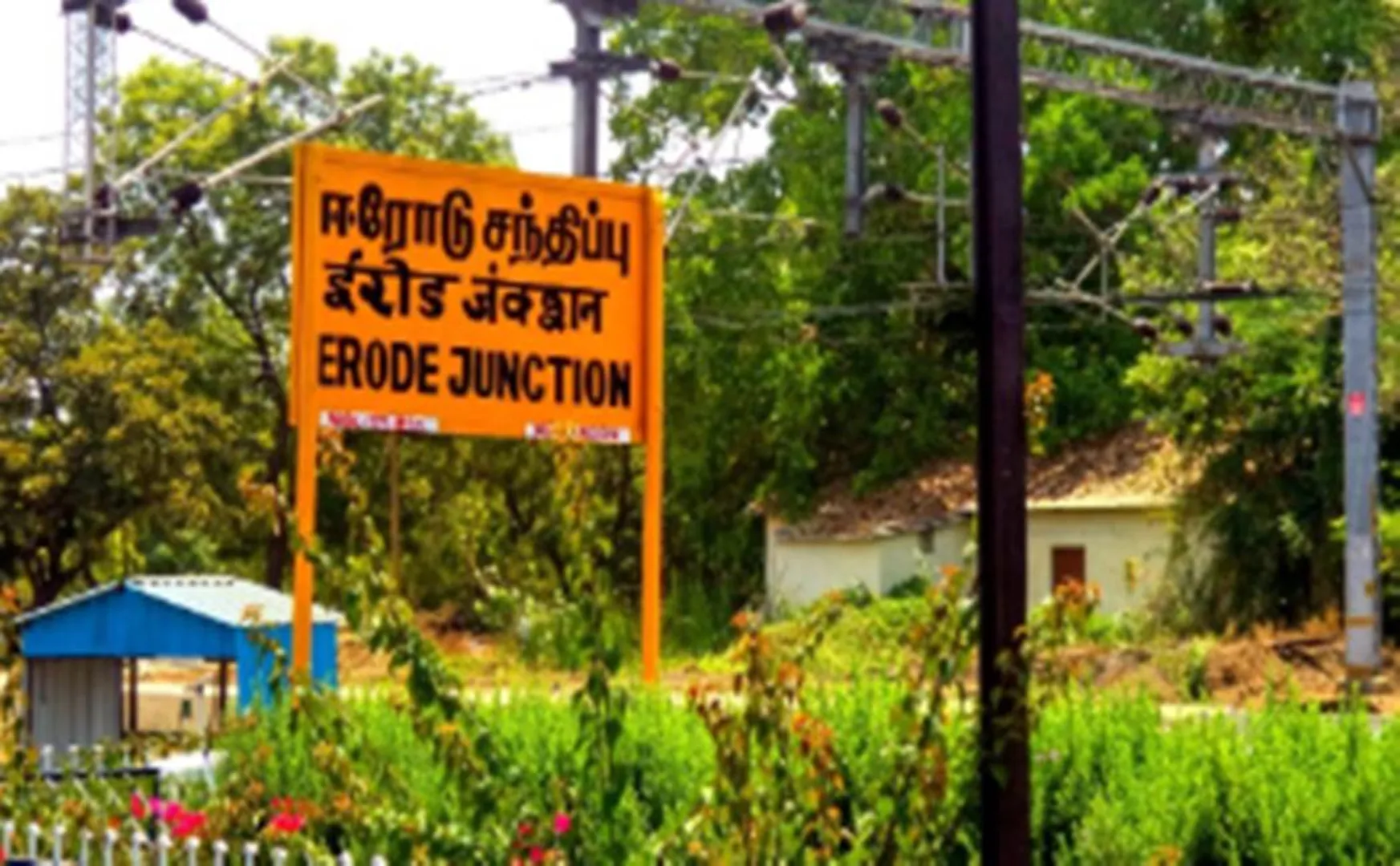 Erode Wild elephants issue