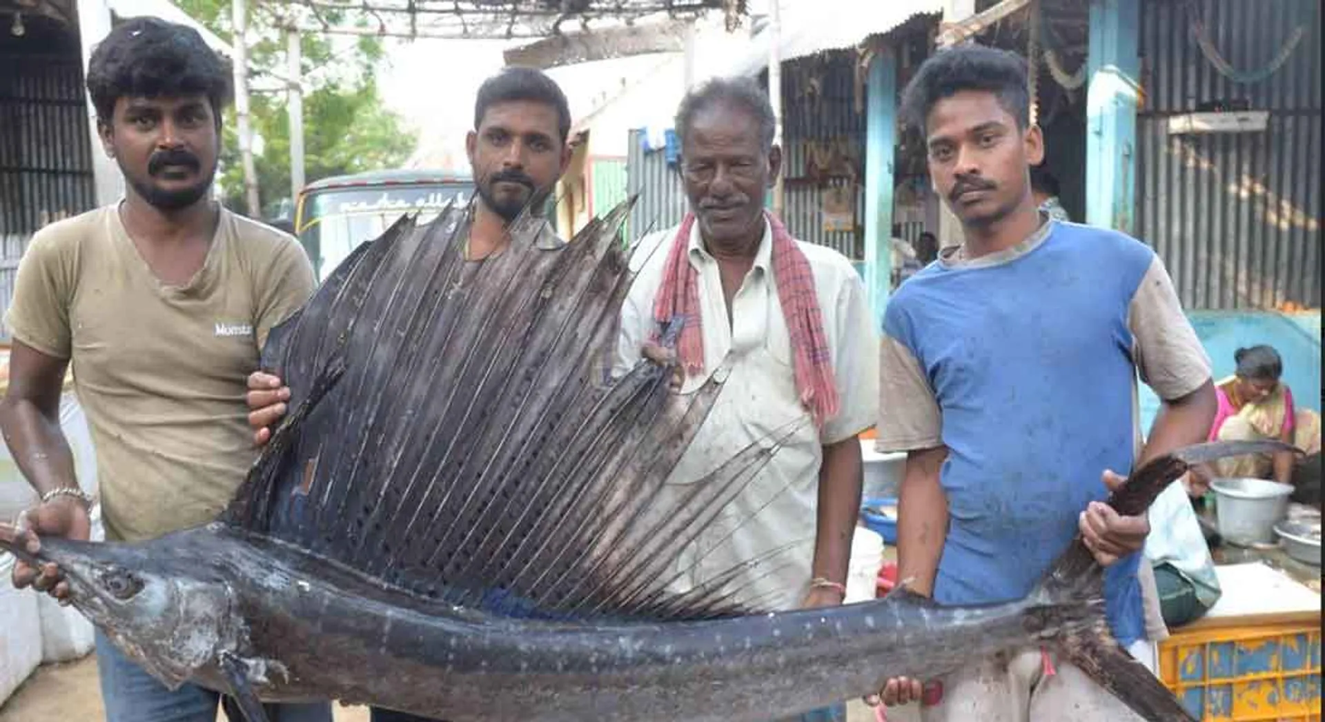  Peacock Fish in erode market...