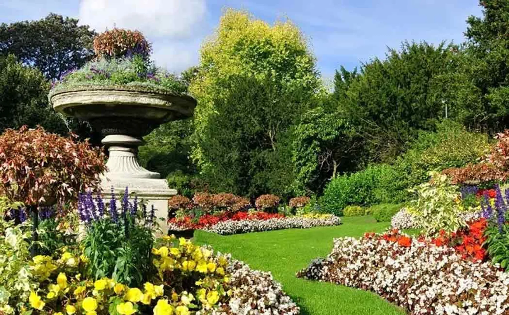 NILGIRIS FLOWER EXHIBITION START ON MAY 15TH TN GOVT 