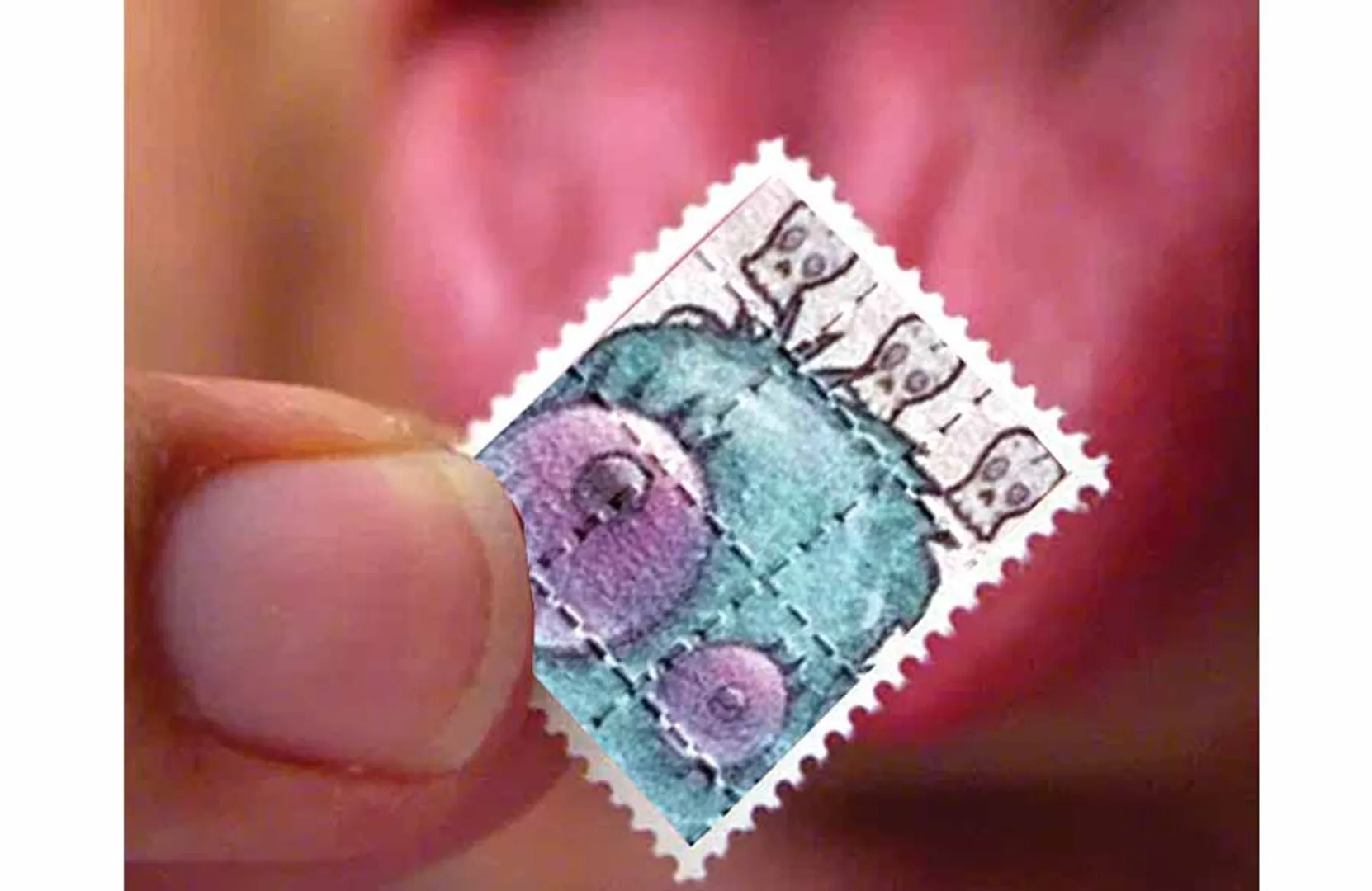 stamp