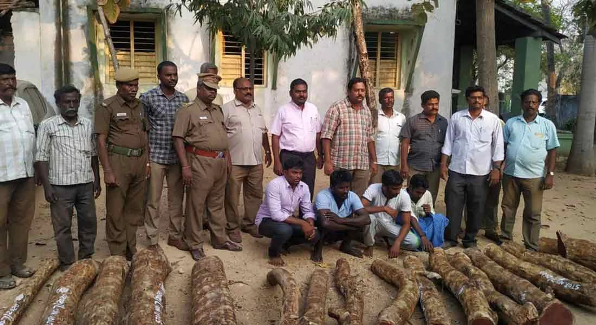 3 tons of red wood seized ... 5 arrested