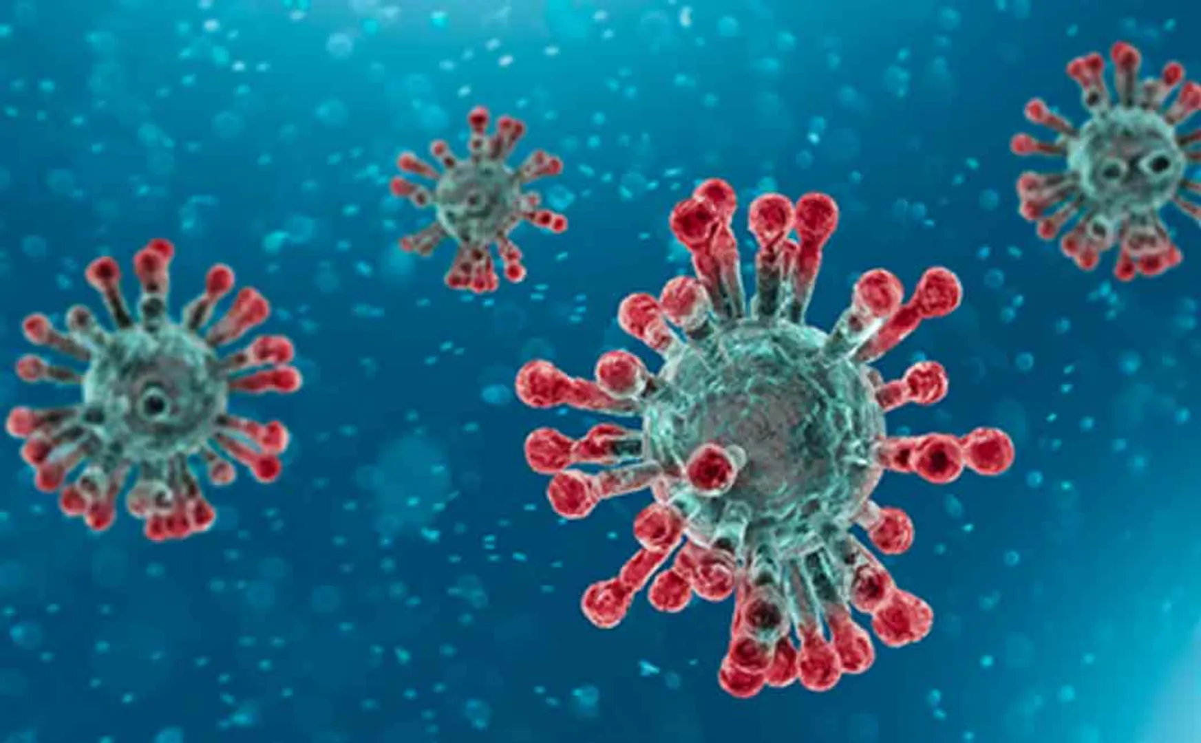 corona virus spreaded in southkorean church 