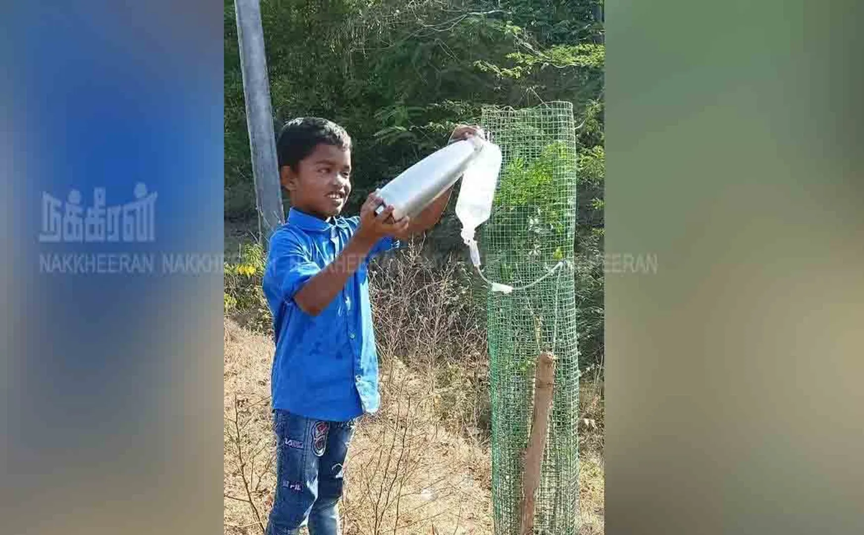 trees water pudukkottai schools students innovative 