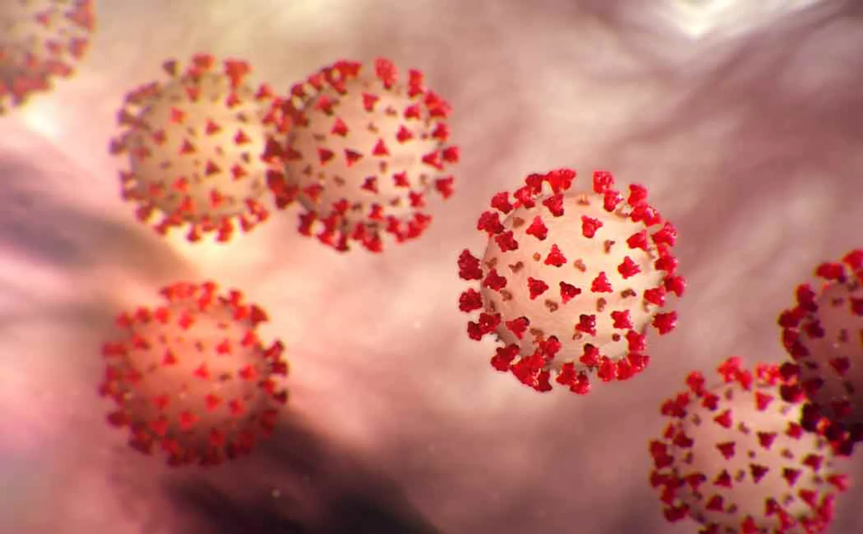 Union Minister Muraleedharan is in self quarantine