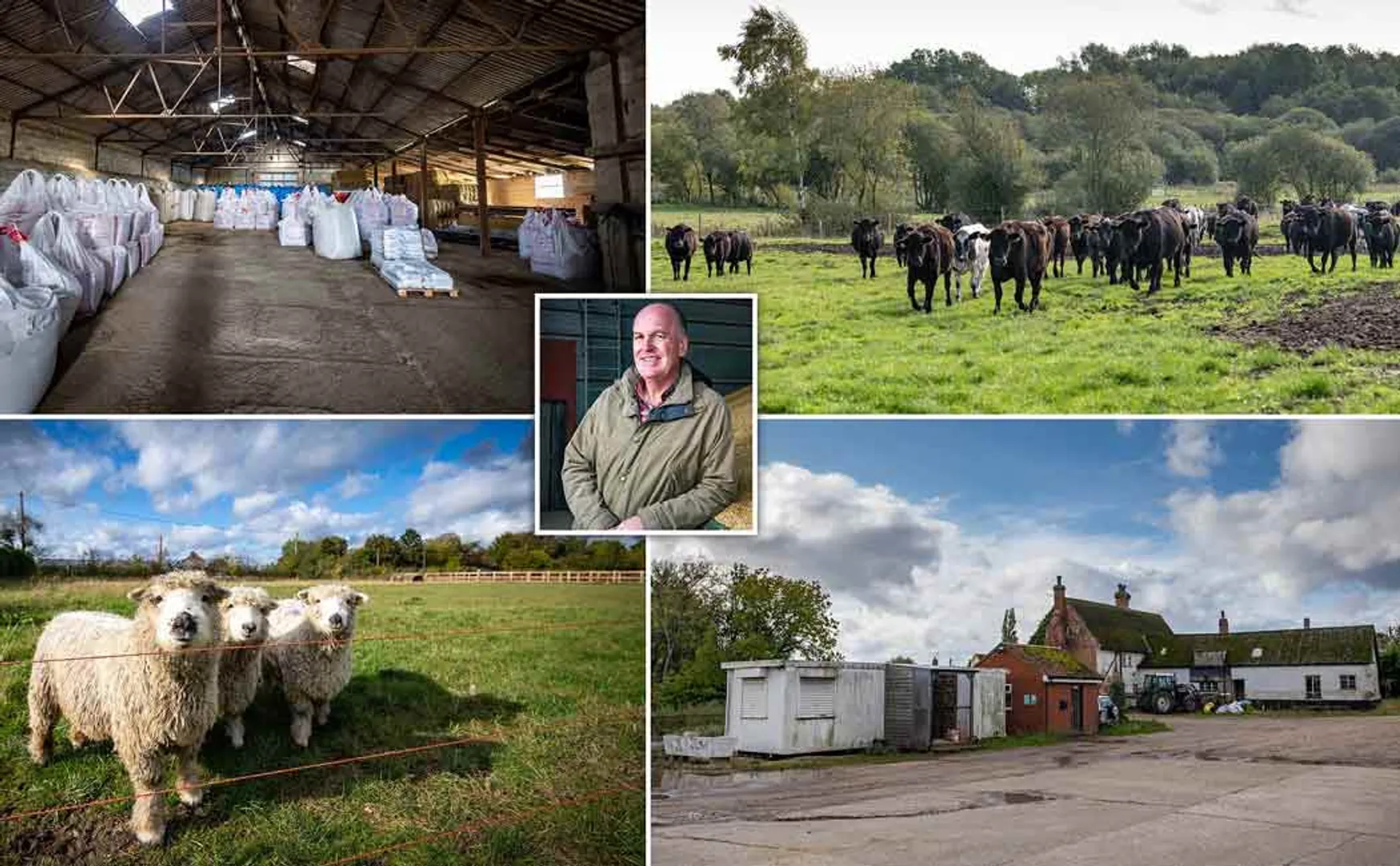 peter dawe moved to his survivalist farm