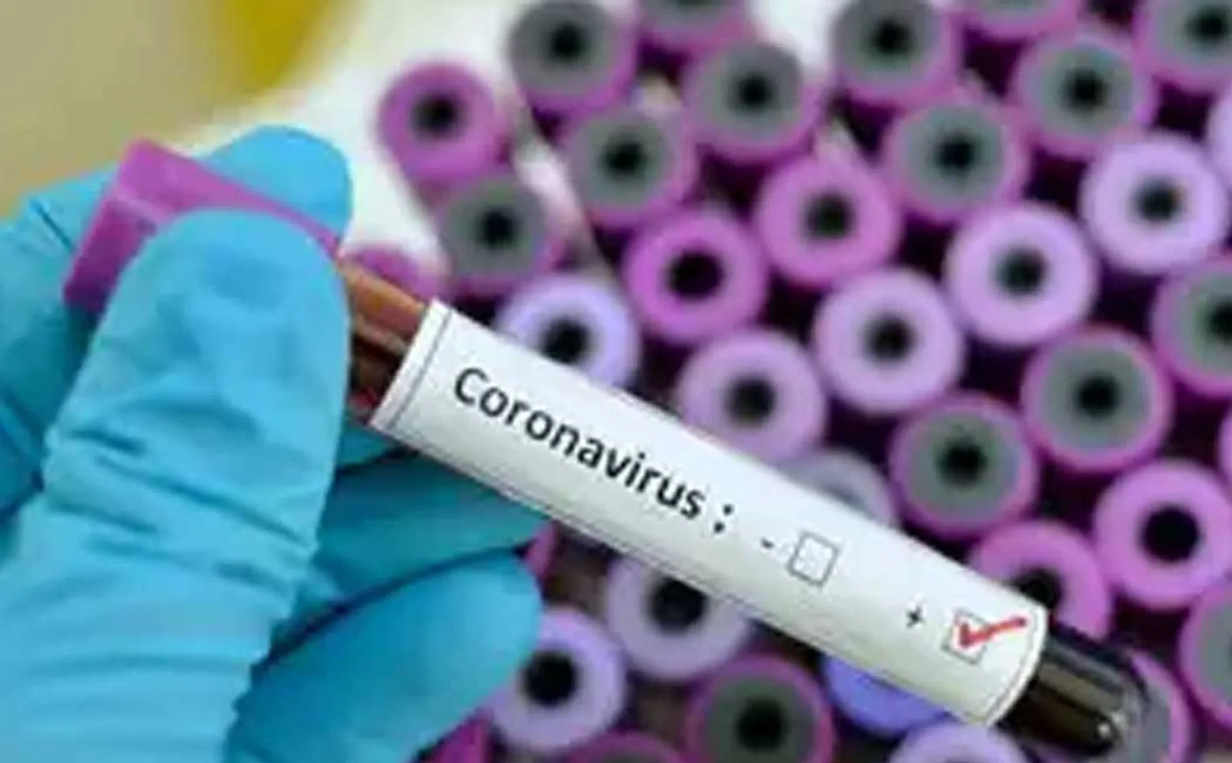 tamilnadu coronavirus positive increased 35 th 