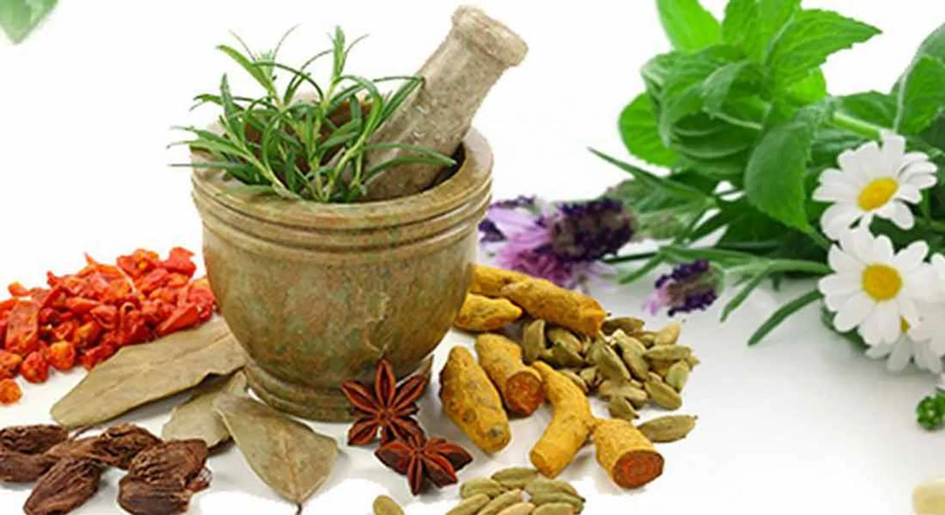 siddha can cure corona? Central, state governments  to respond!