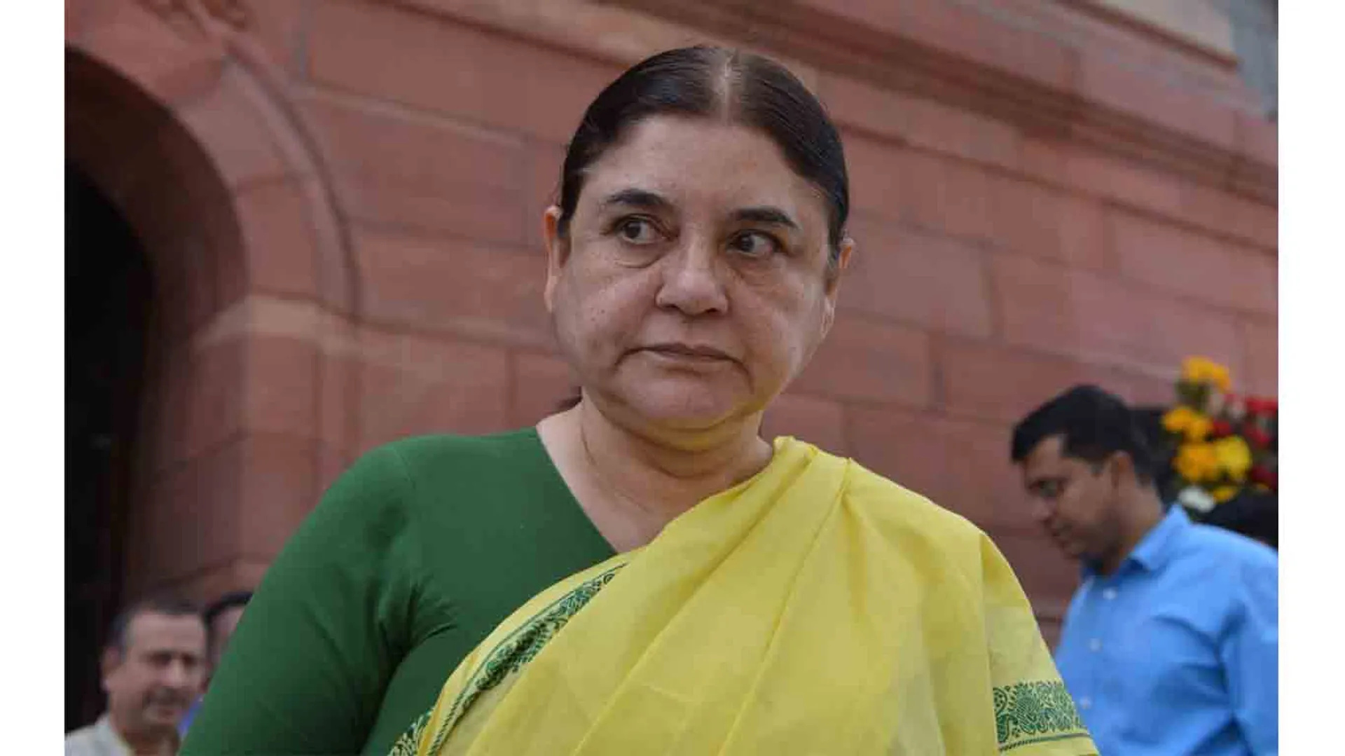 menaka gandhi help