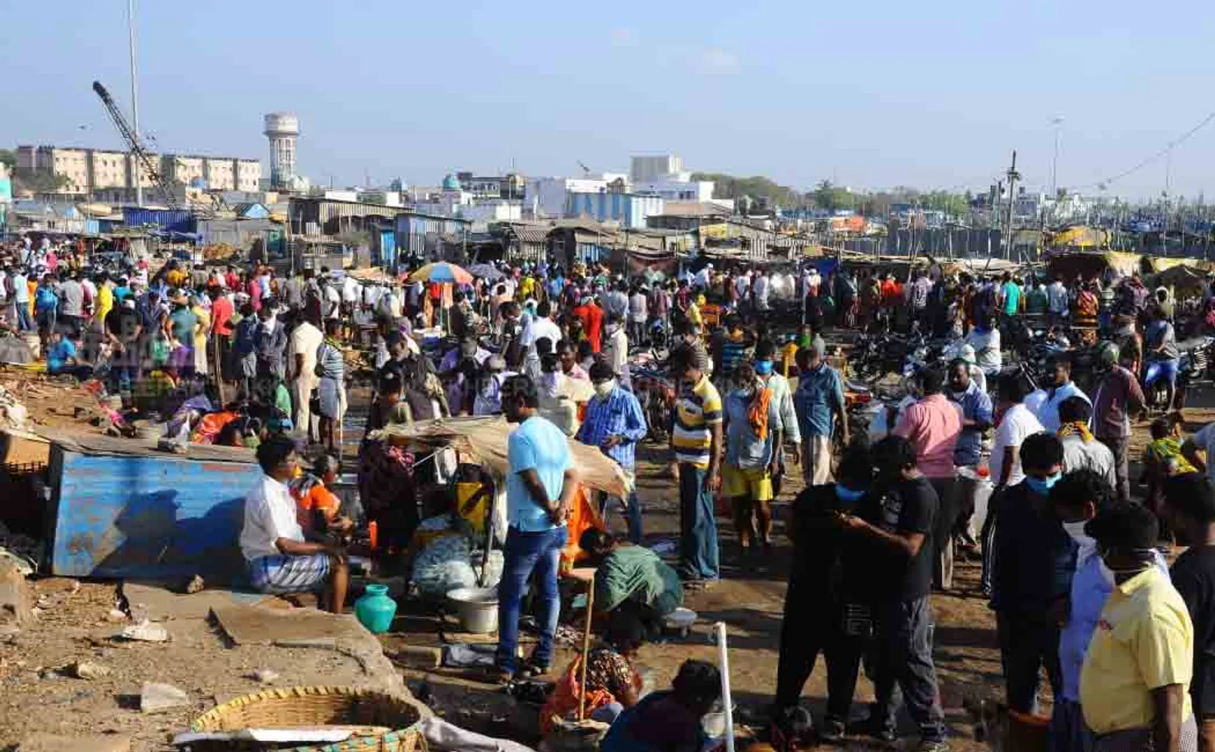 CHENNAI KASIMEDU FISH MARKET PEOPLES 