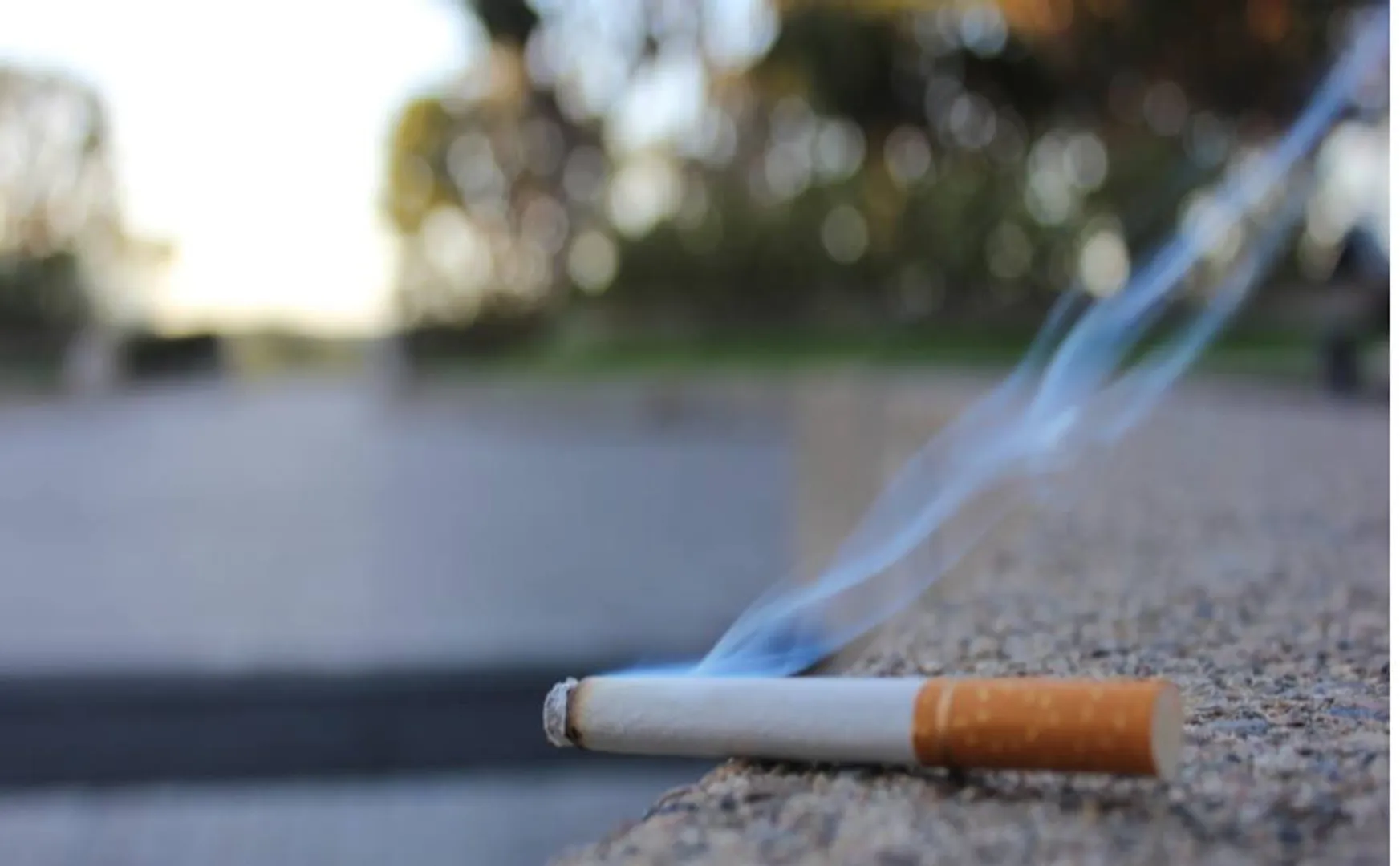 Cigarette 
