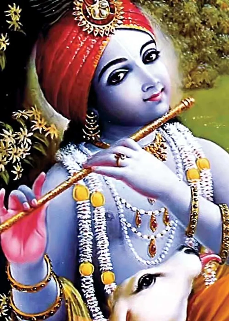 /idhalgal/balajothidam/long-live-privilege-mahesh-verma