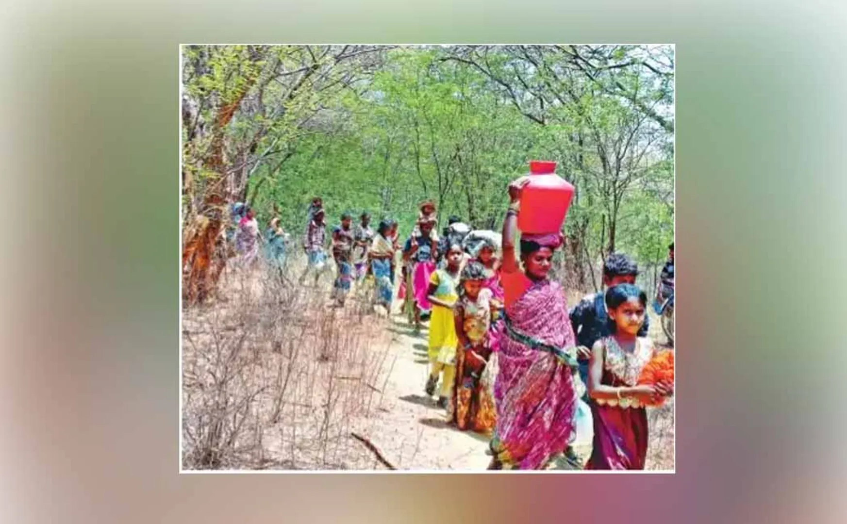 DHARMAPURI DISTRICT FOREST AREA PEOPLES DISTRICT COLLECTOR 