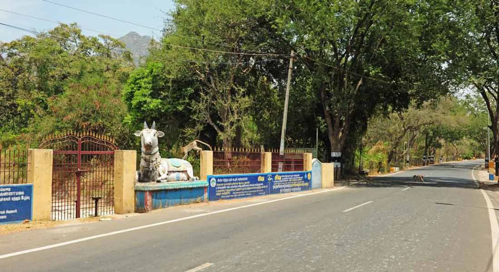 thiruvannamalai District Administration Announced
