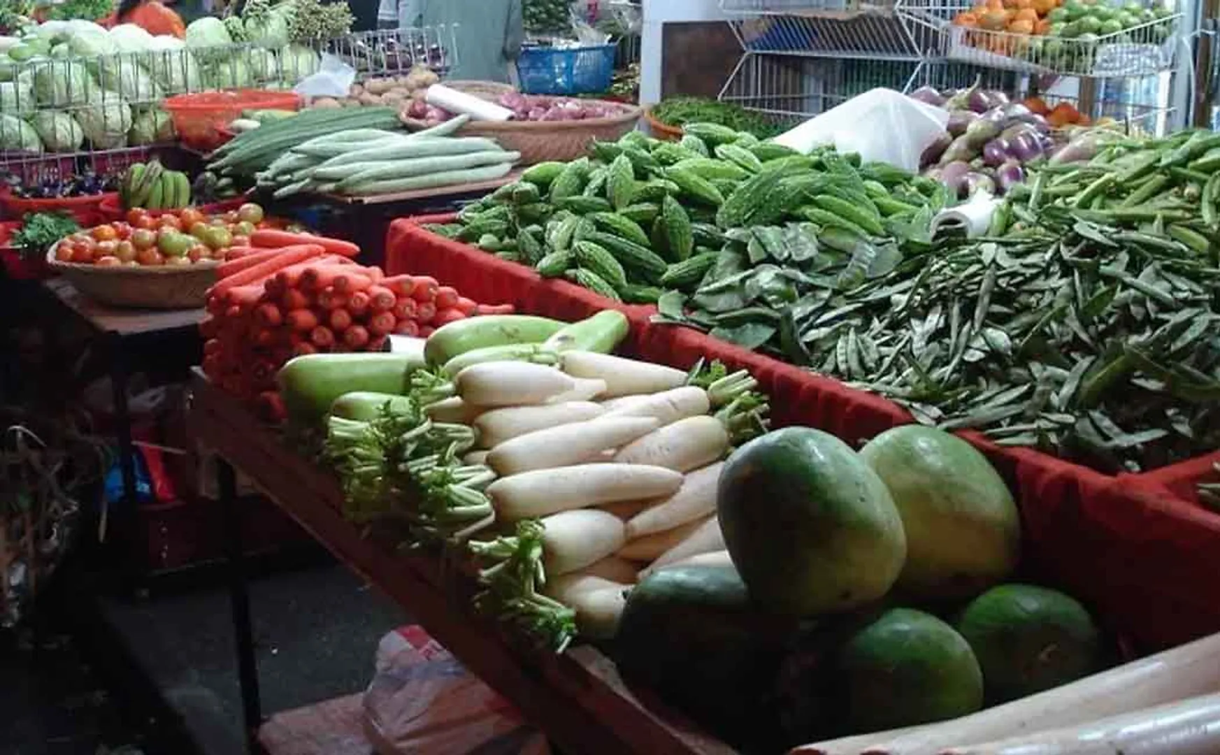 14 nutritious vegetables package for 100 bucks!
