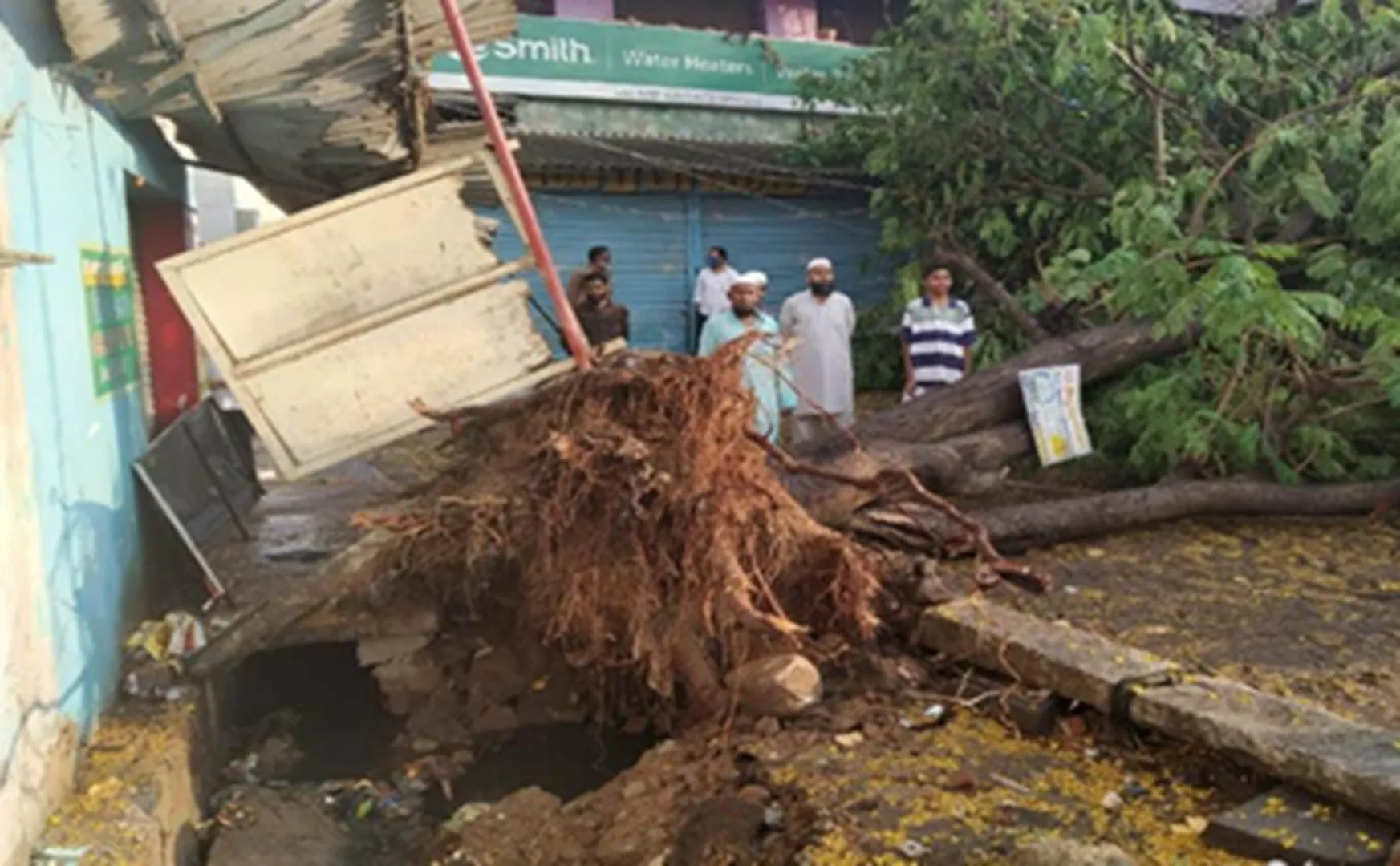 Tiruppattur Sleet - trees on the ground
