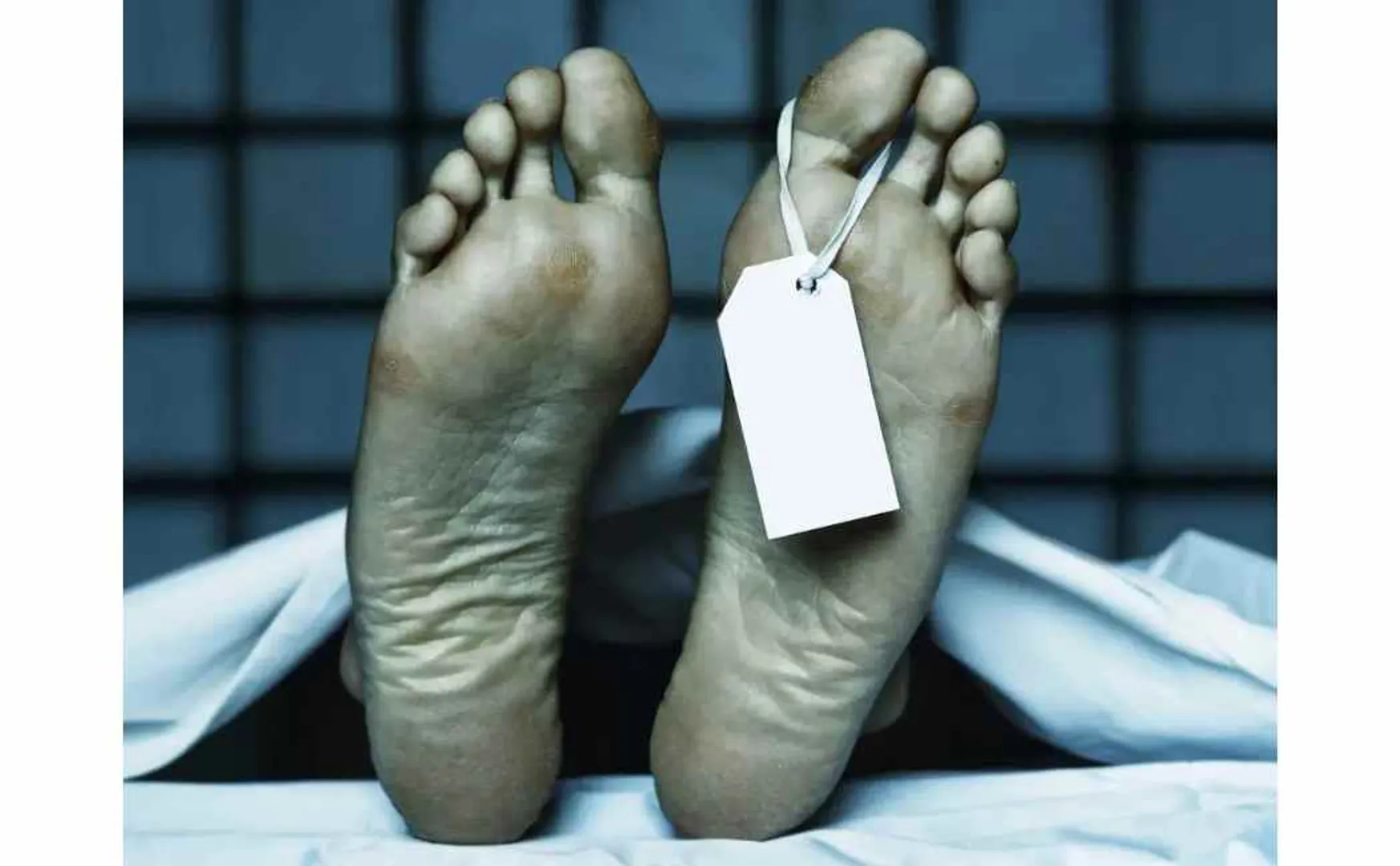 corpse