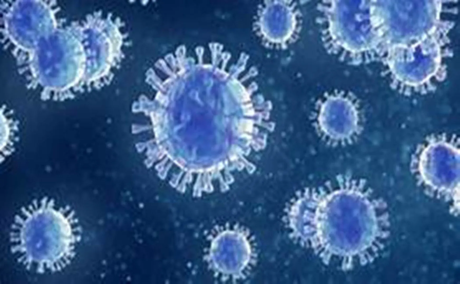   Corona virus Tirunelveli incident