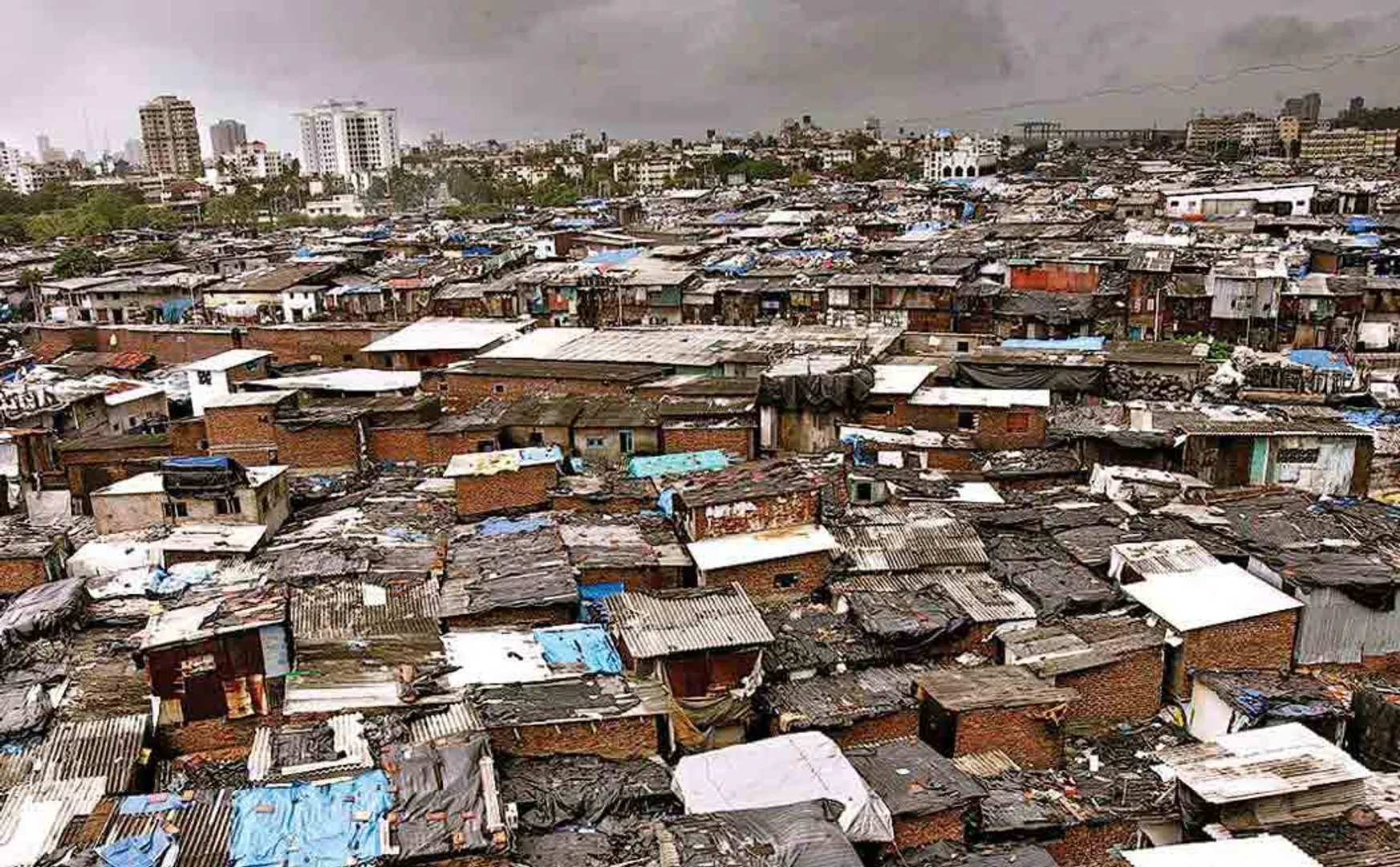 new corona cases in dharavi 