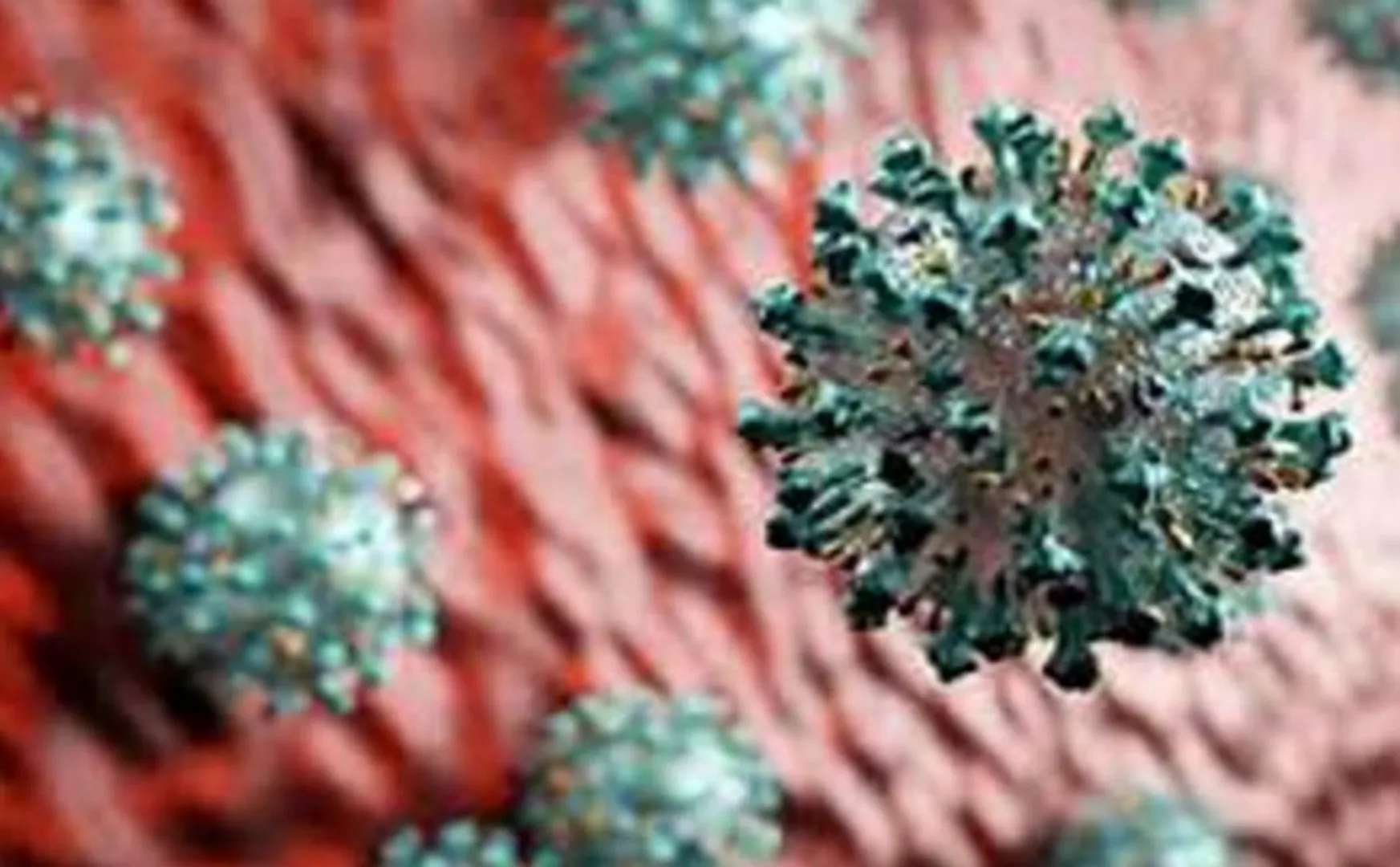 corona virus impact in Ariyalur 