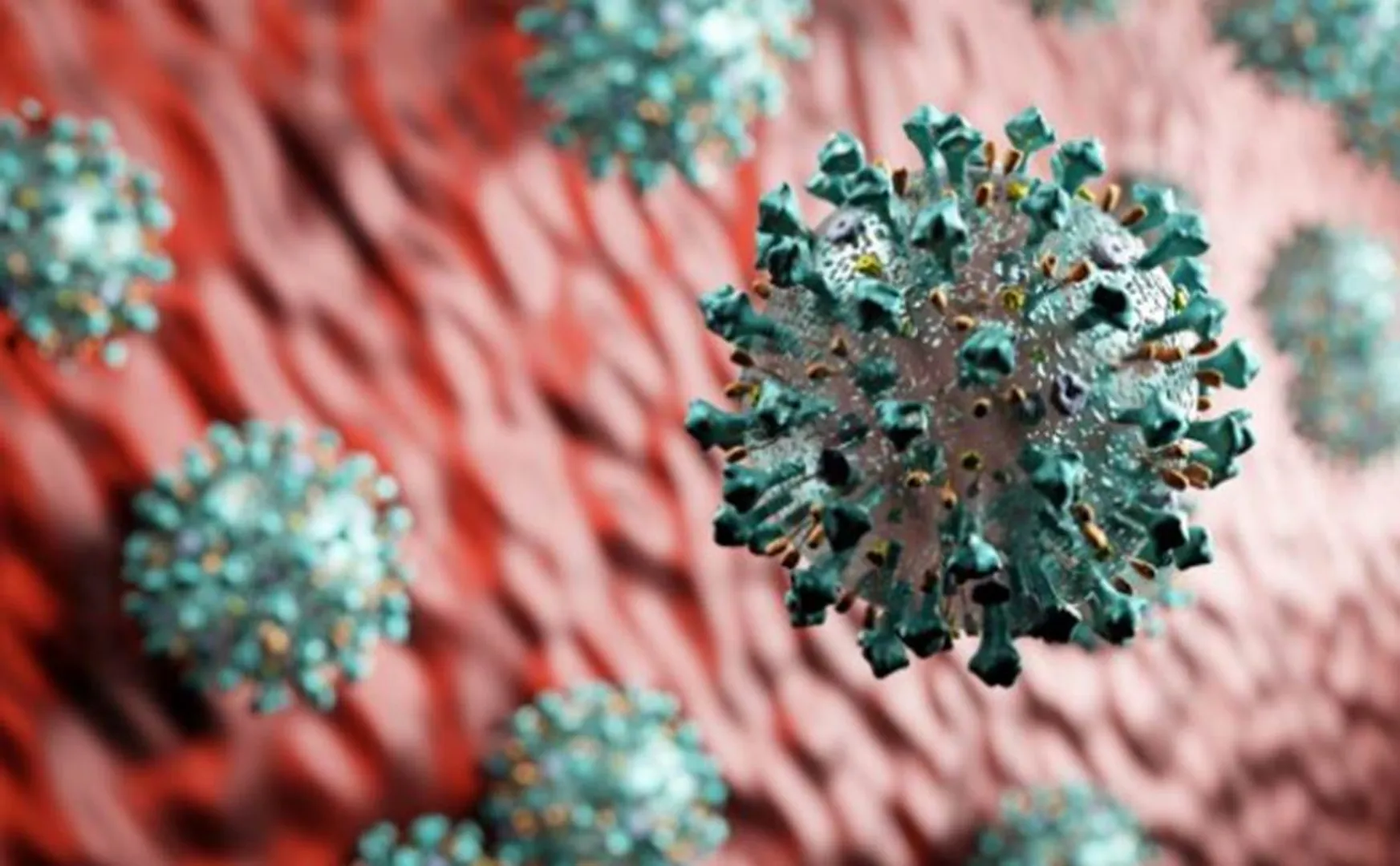 corona virus impact in Cuddalore