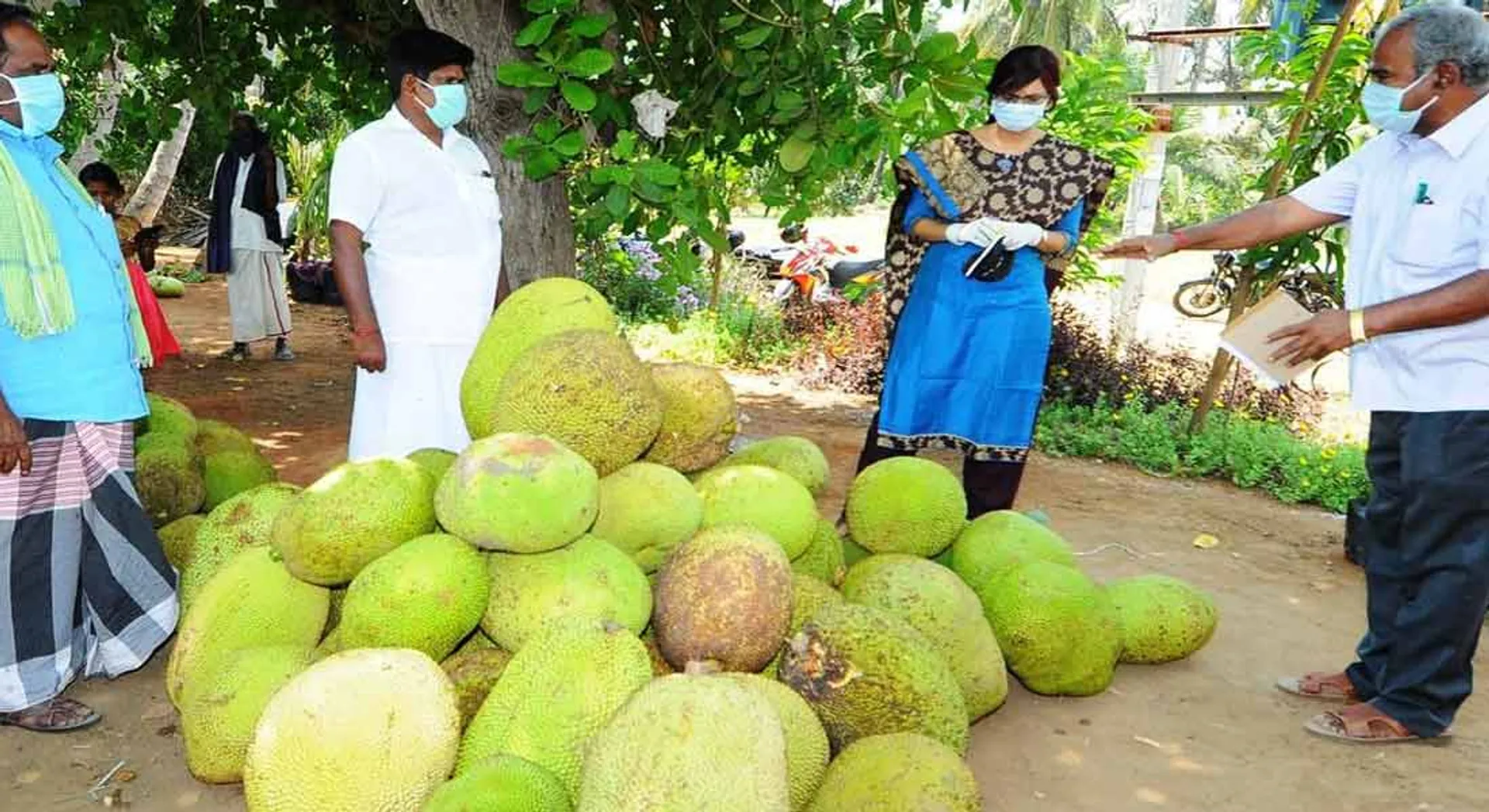  Pudukkottai District Collector Description