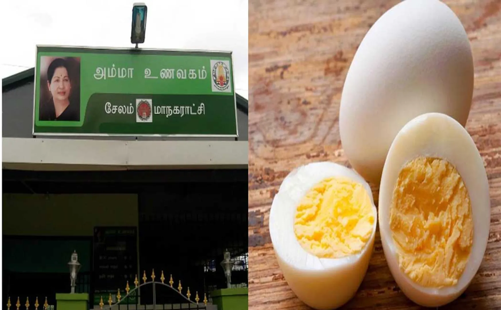 SALEM AMMA RESTAURANT PURCHASE FOOD EGG FREE 