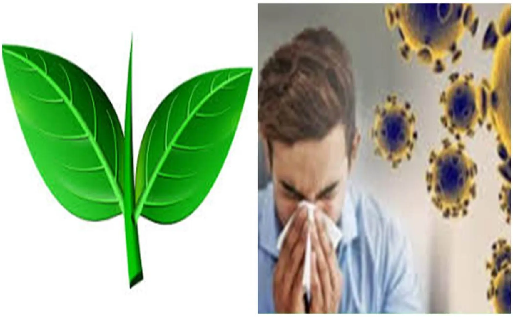  corona virus - lockdown - admk mla