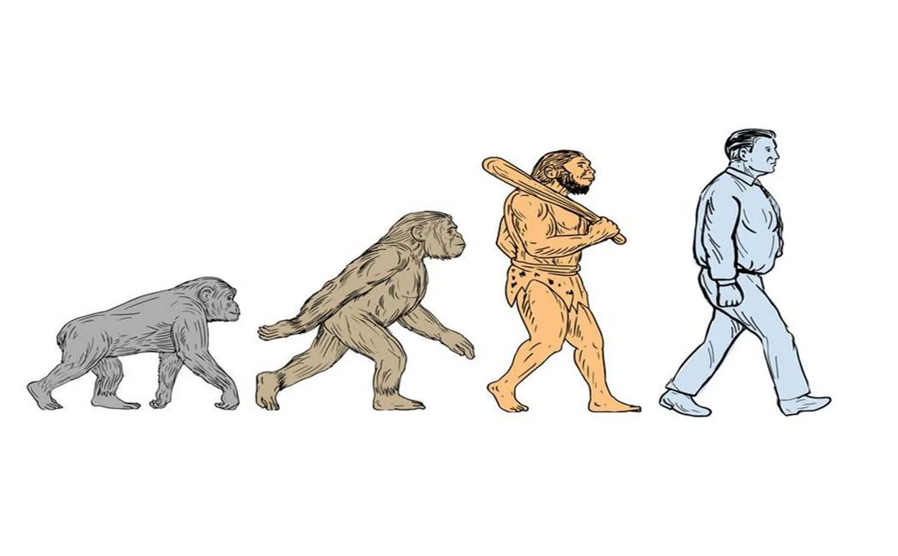  Darwin philosophy - Monkeys hungry 