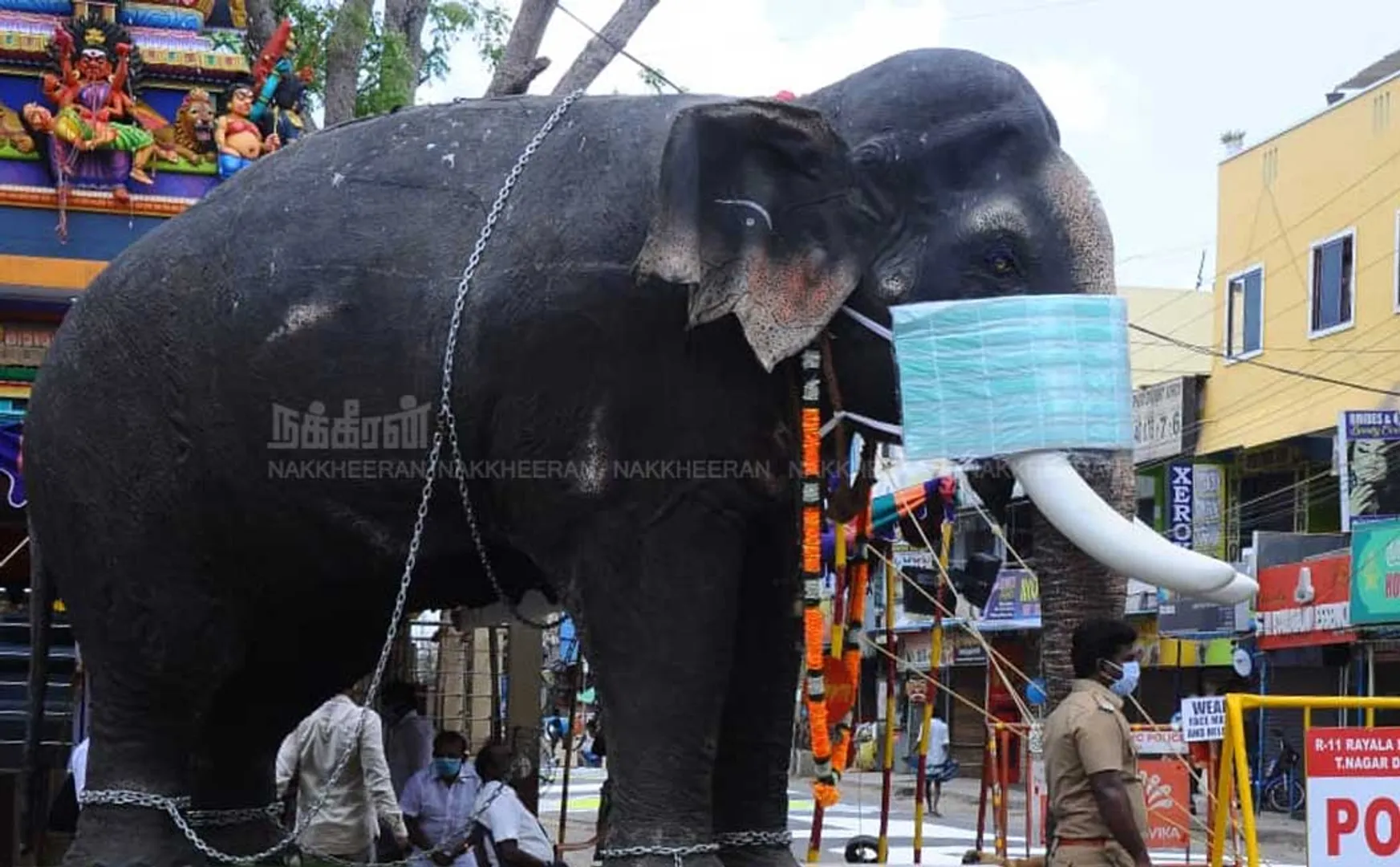 Fake elephant wearing mask