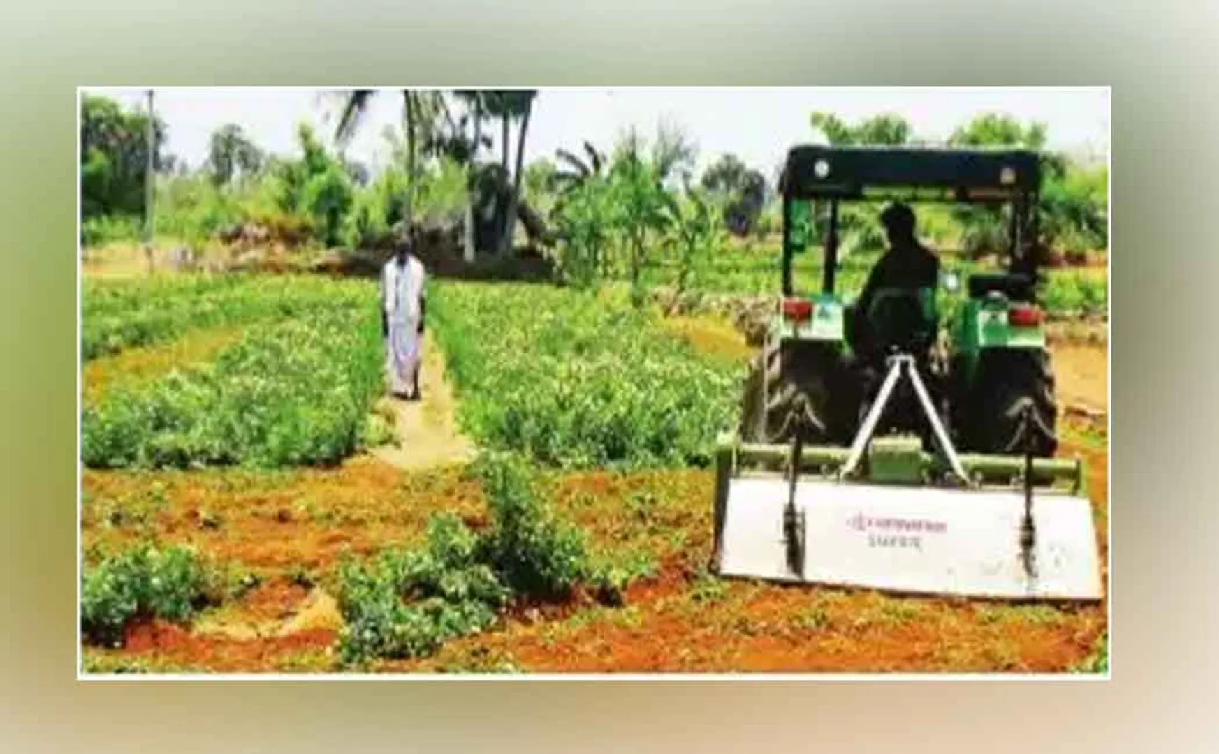 flowers and farmers tamilnadu lockdown 