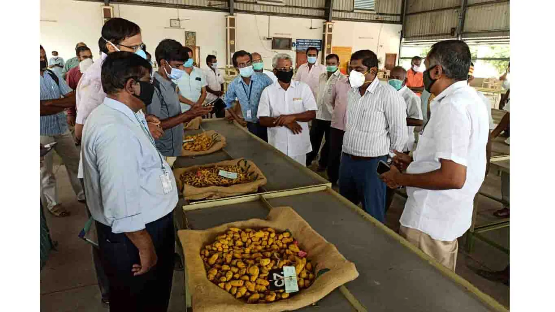 turmeric sales started - erode - 