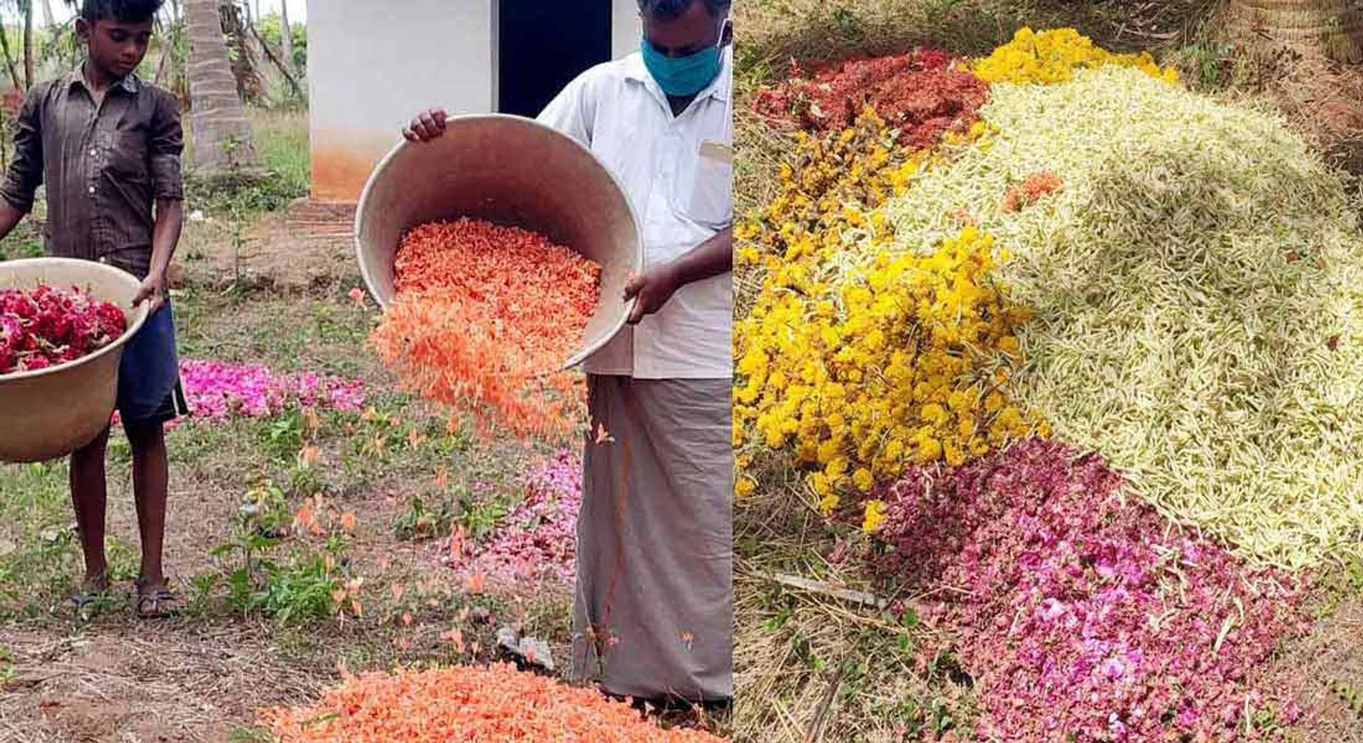Flowers that go to the trash ... Merchants who stop buying ... Farmers in tears !!