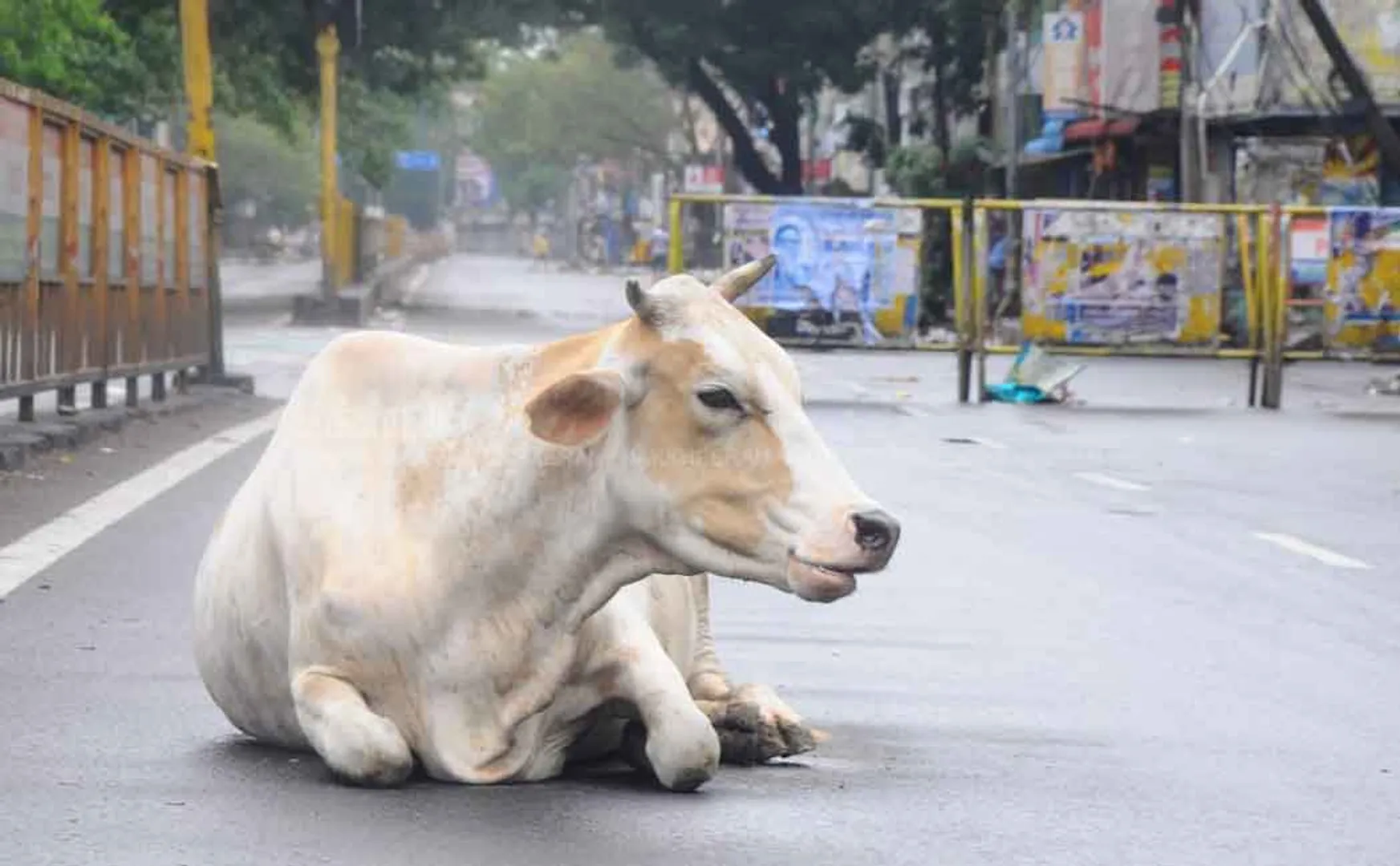 Empty roads in Chennai 