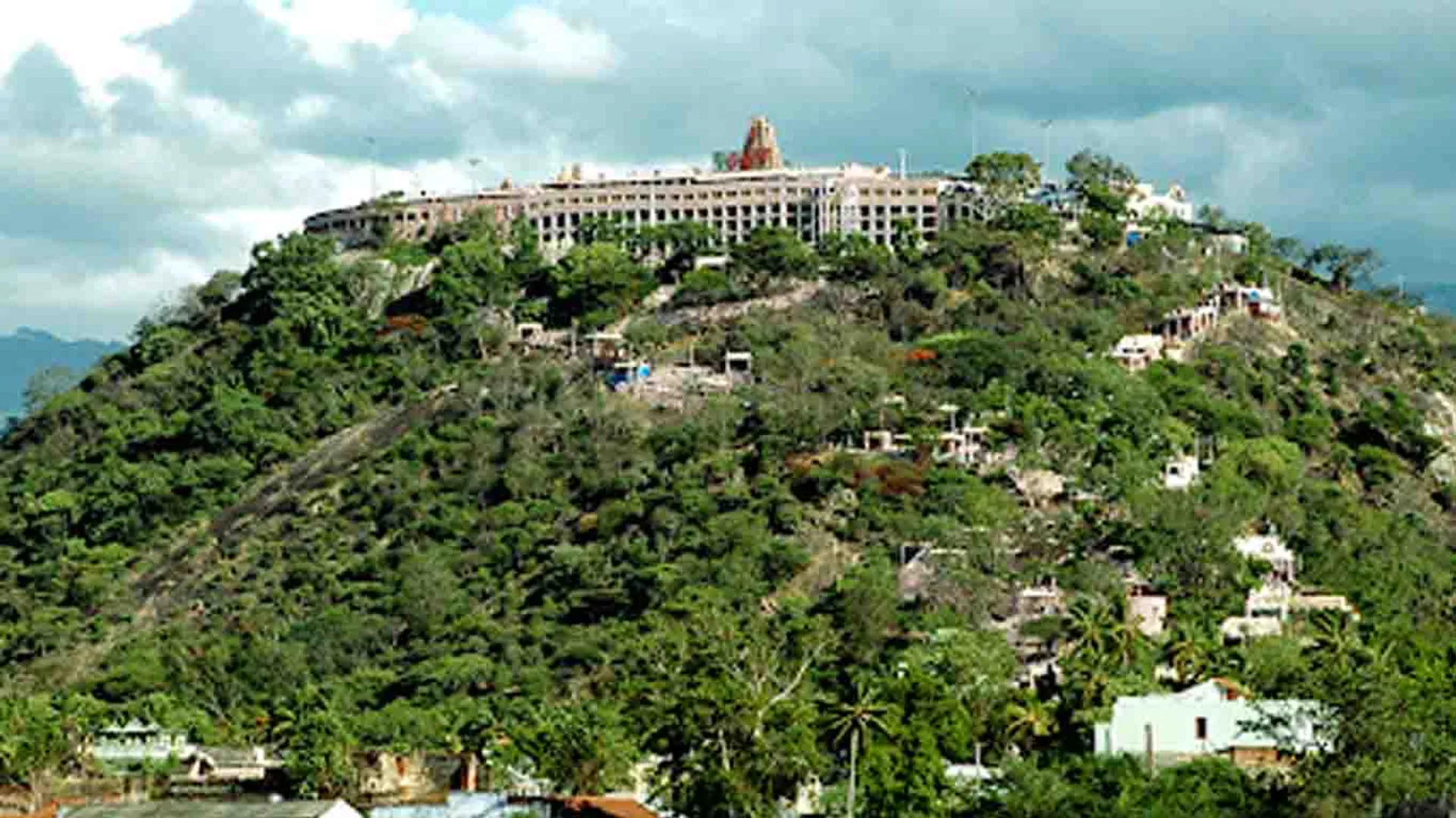 palani - Dhandayuthapani Swamy Temple - Elephant - 