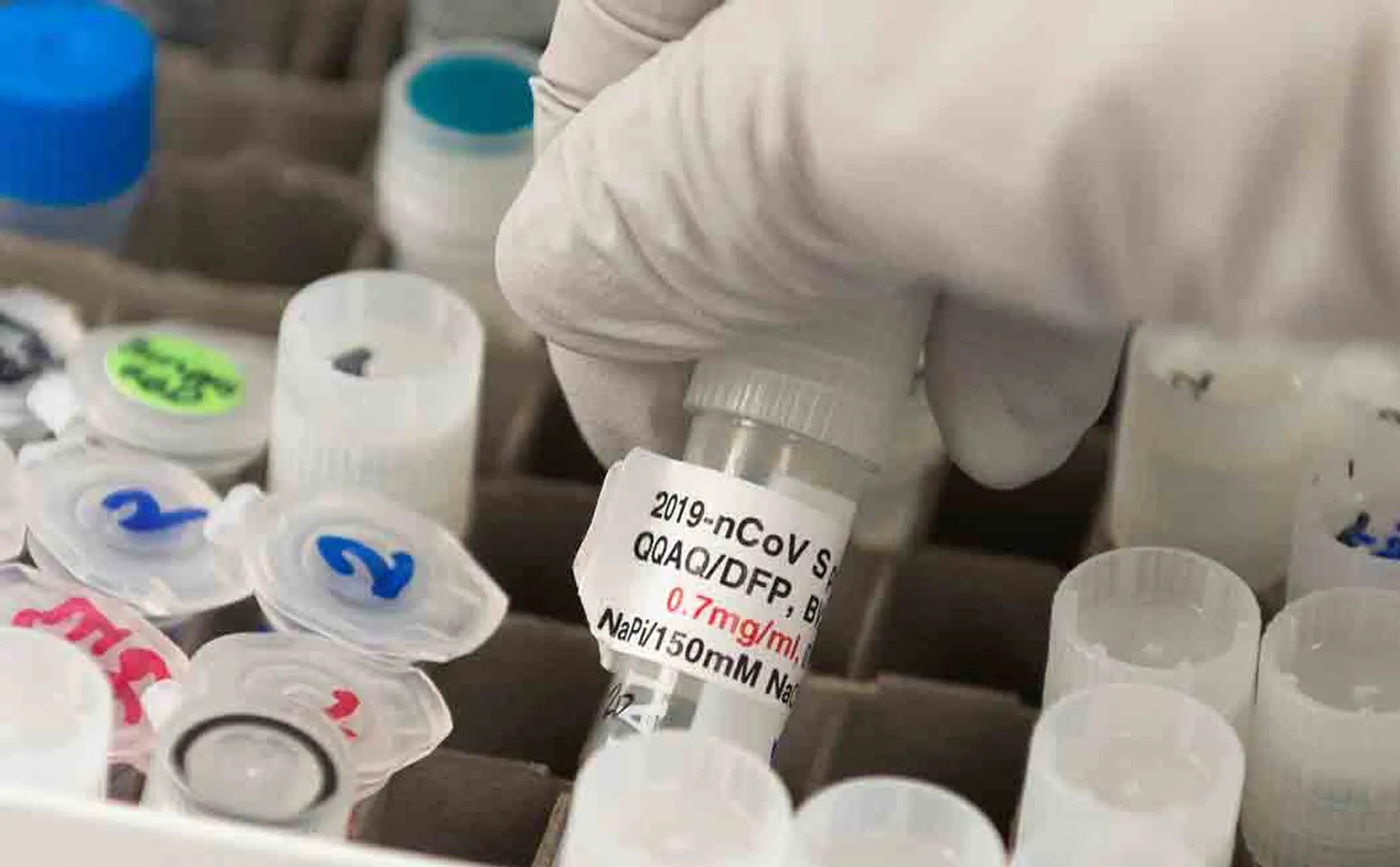 mw vaccine to corona virus