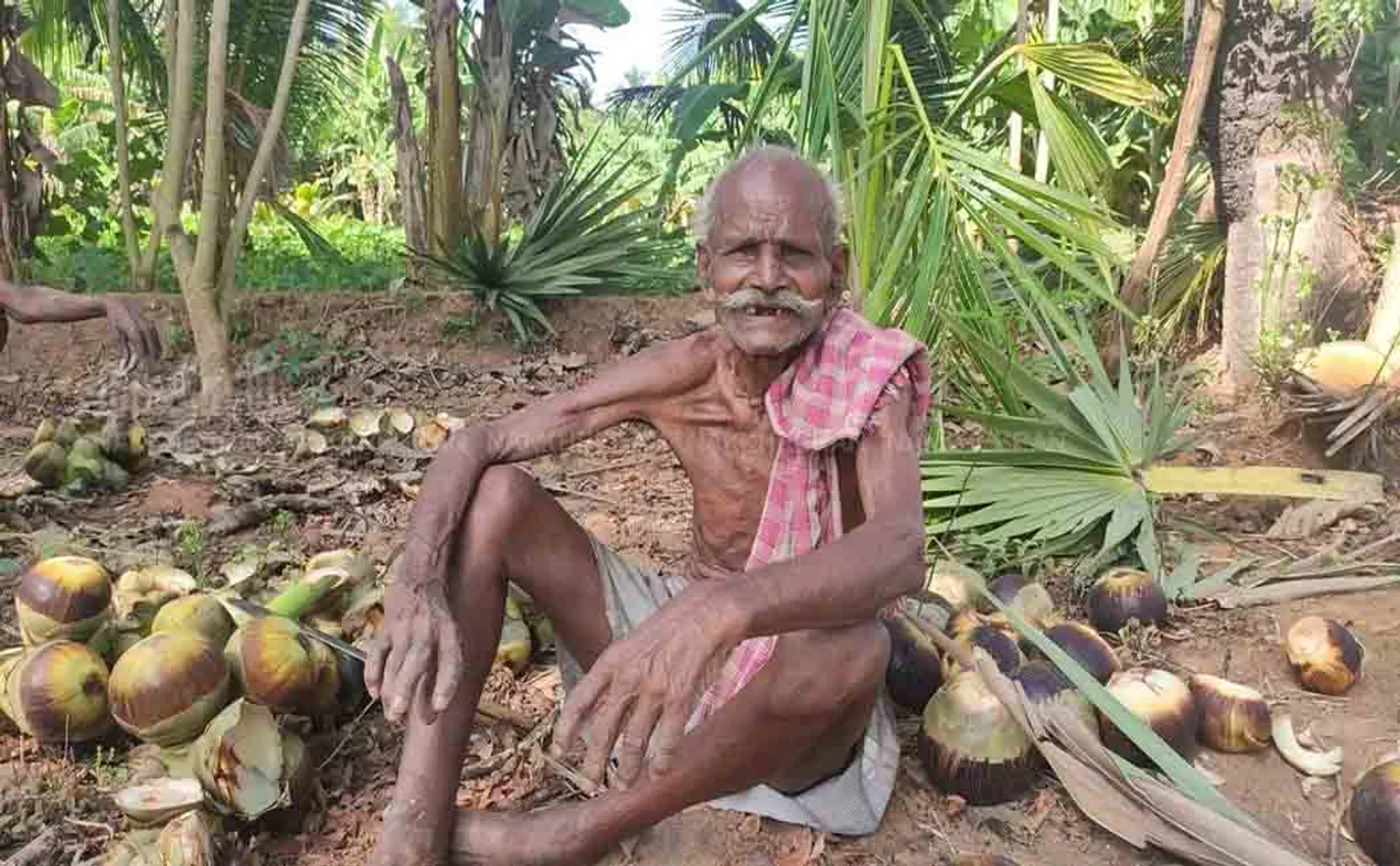 pudukkottai district old man  pension arranged  district collector