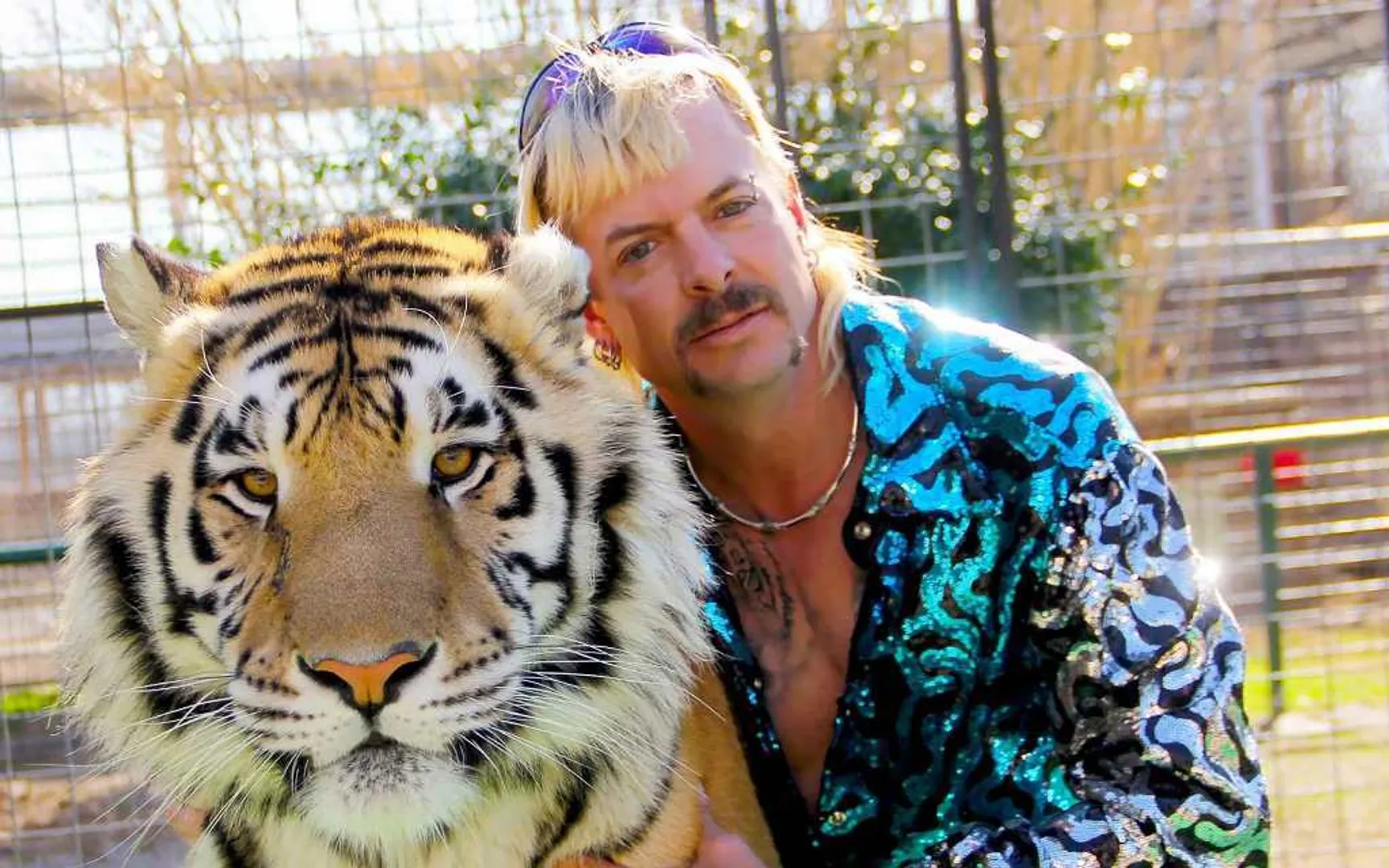 tiger king