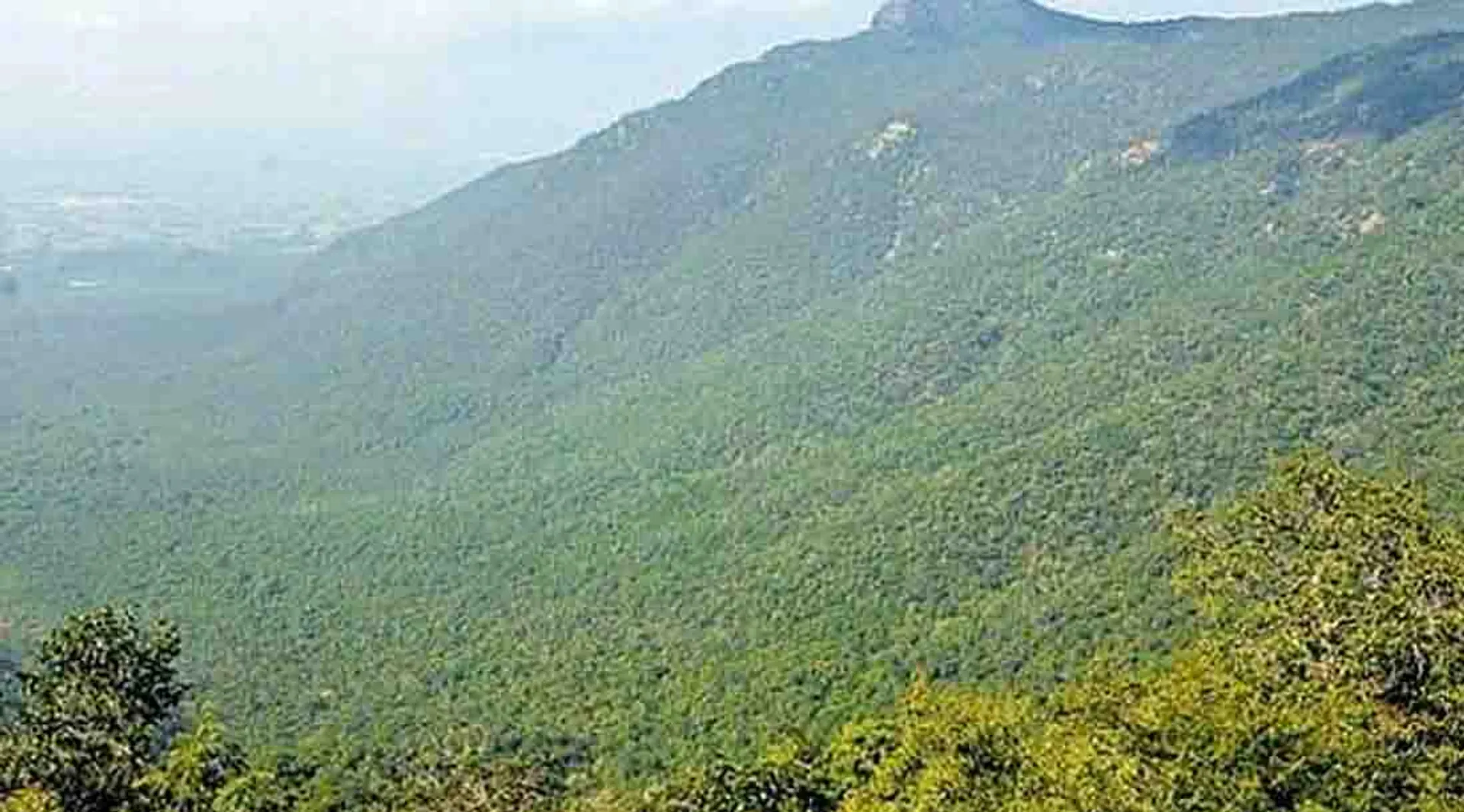 thuraiyur pachamalai