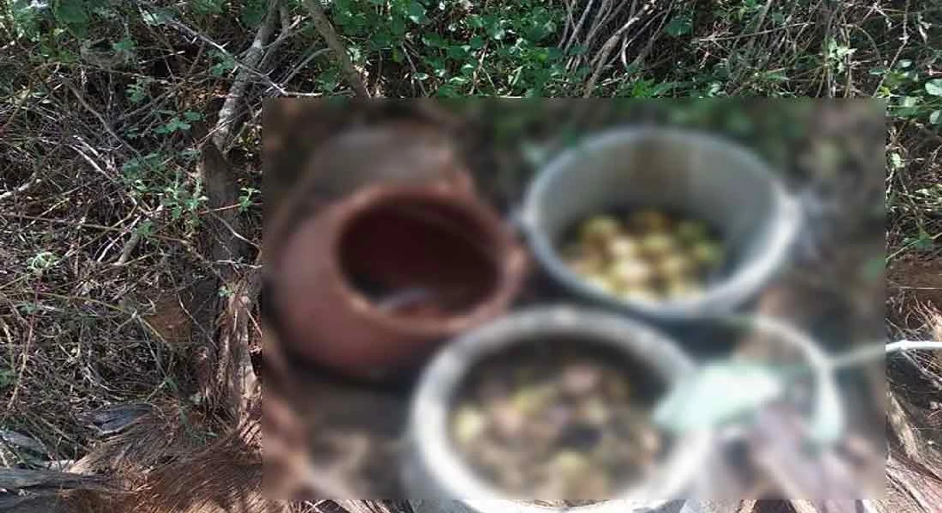 Patient arrested for illicit liquor
