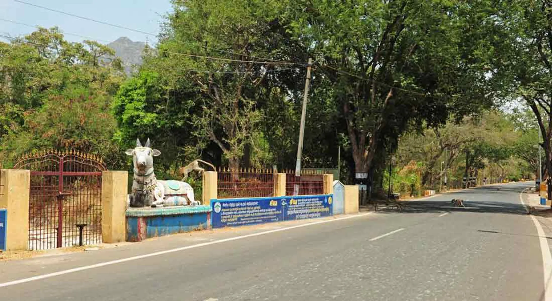 Thiruvannamalai kirivalam cancled