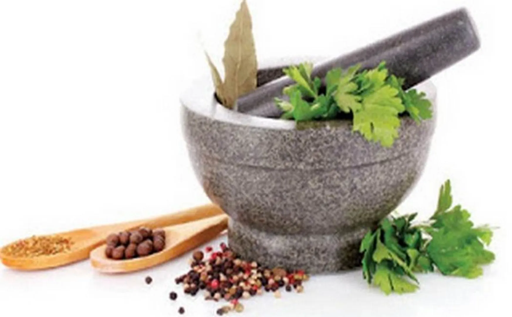 siddha can cure corona - central-state governments respond - Highcourt 