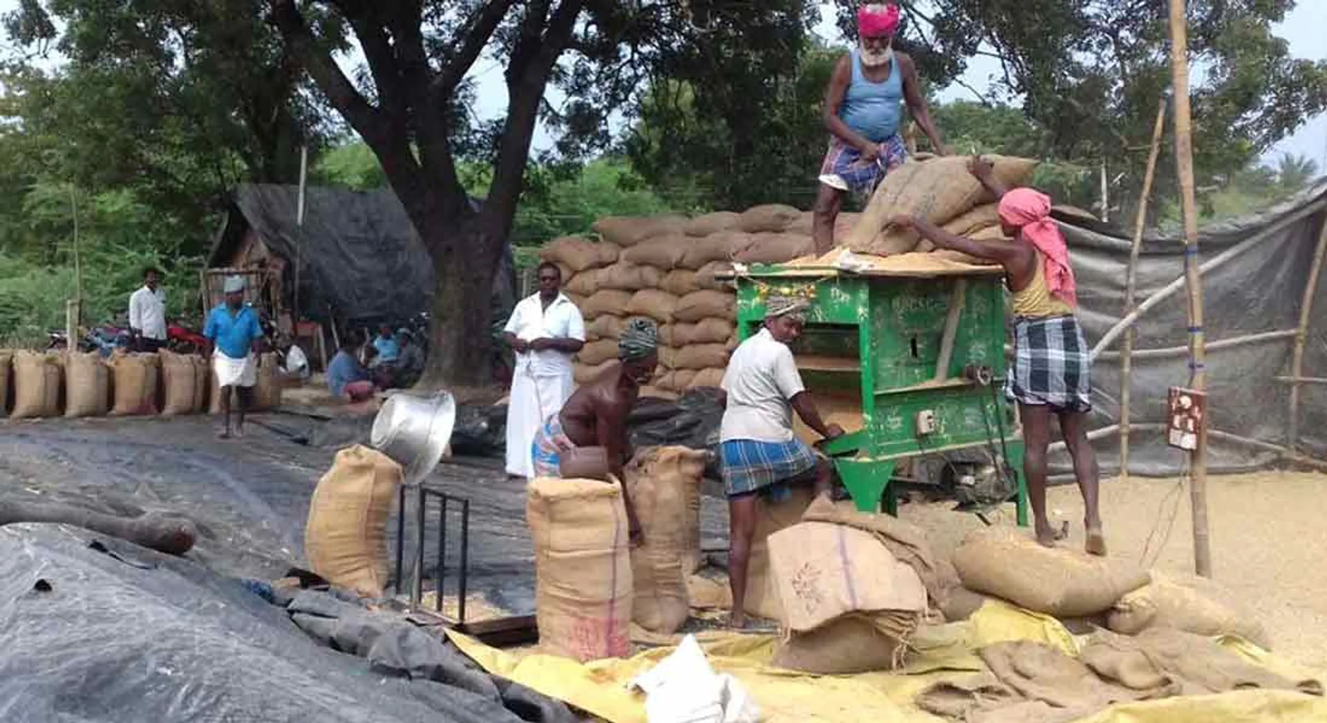 Case for direct purchase of farmers Tamil Nadu government warned if it does not respond