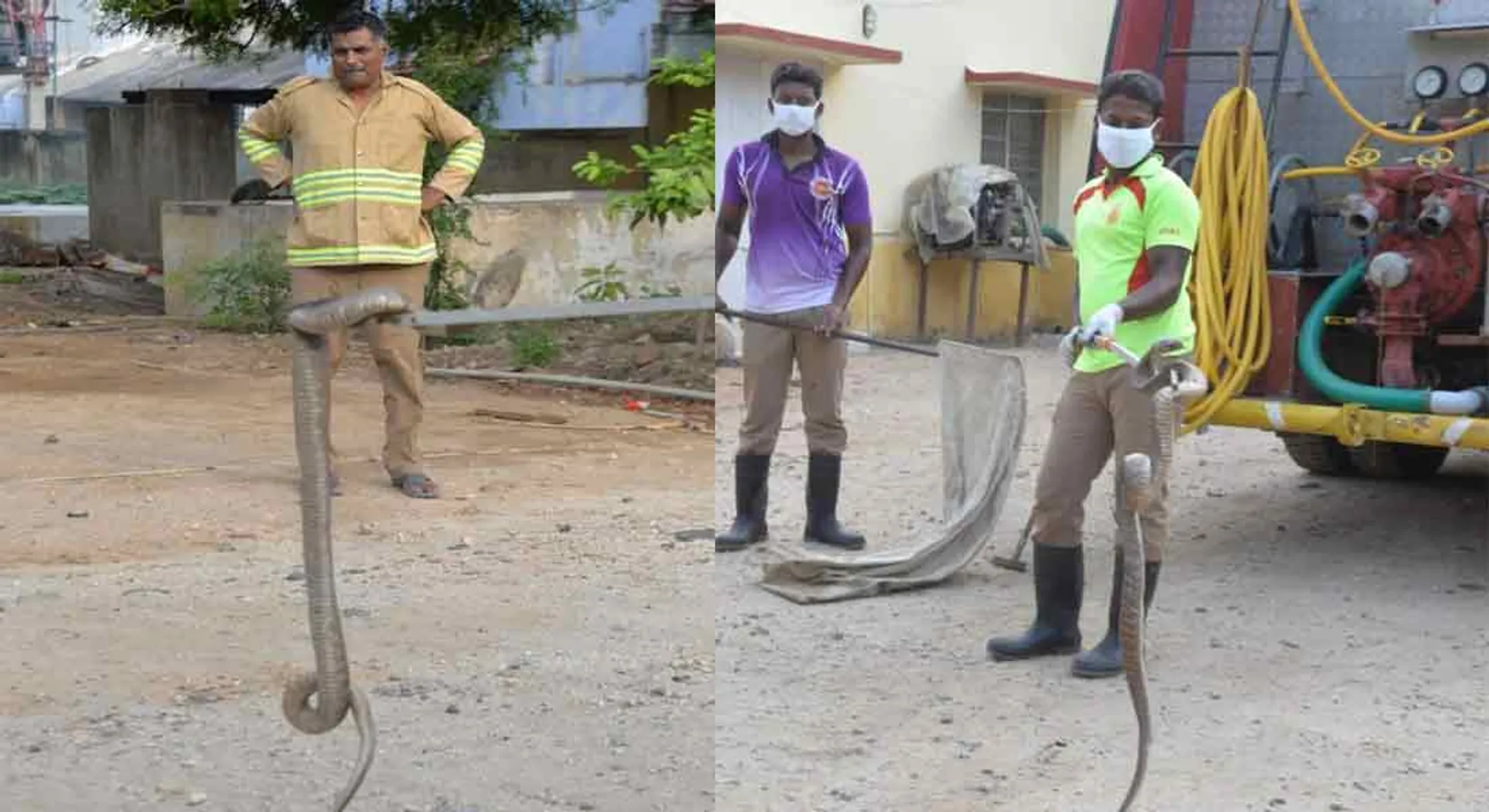 snakes come Resident in the summer... alert fire department