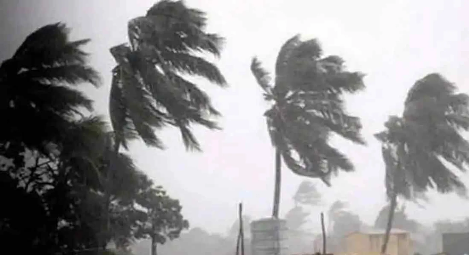 The Storm originated in the Bay of Bengal