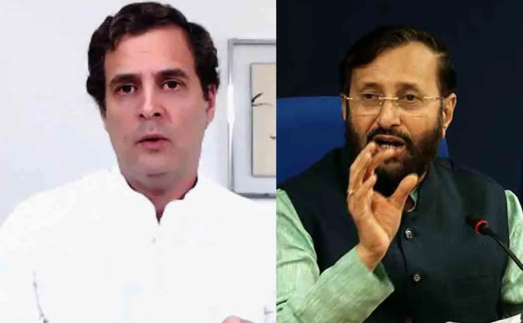 prakash javadekar reply to rahul gandhi