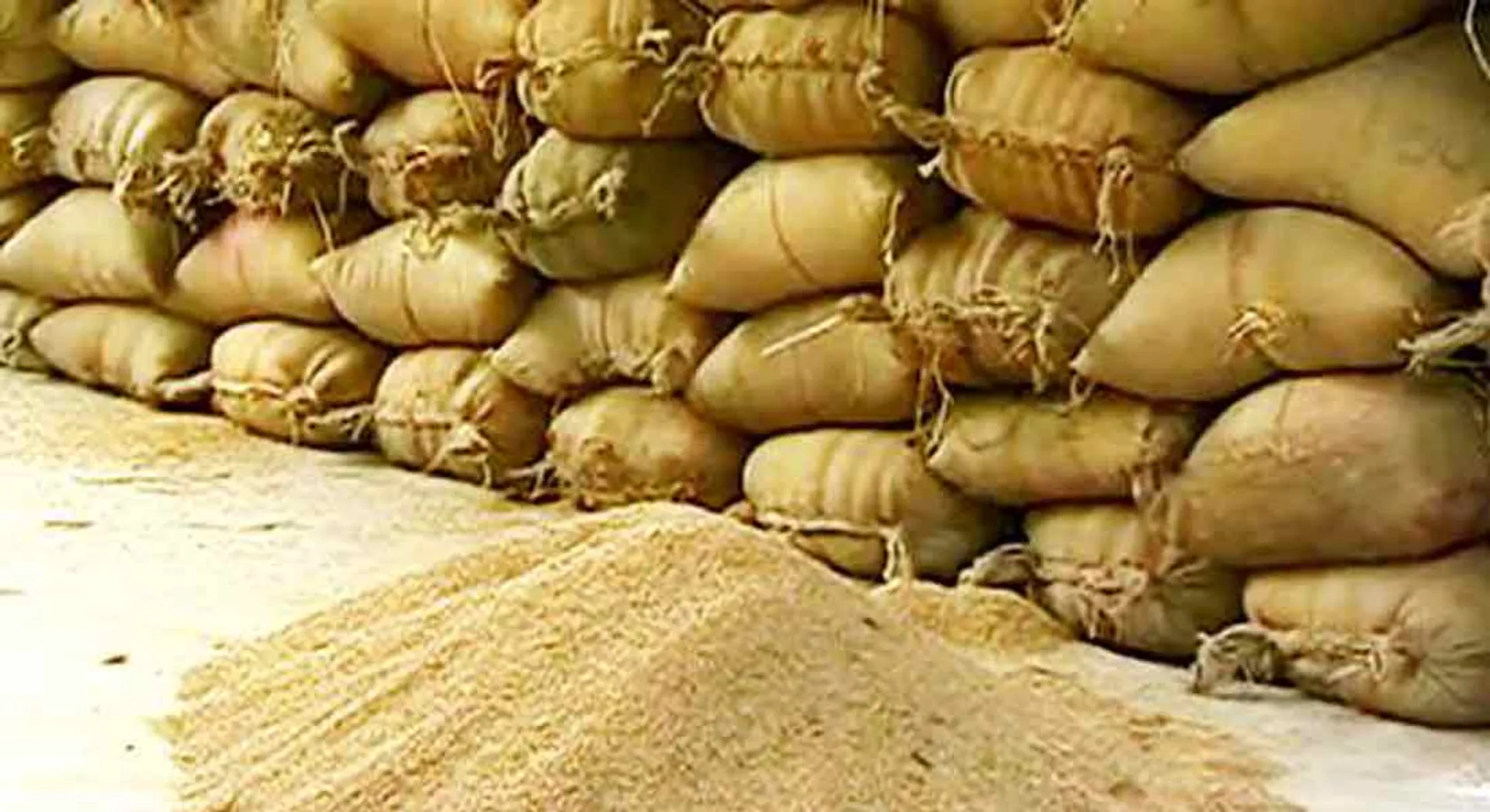 Purchase of paddy directly from farmers during curfew! Tamilnadu Government Explanation!
