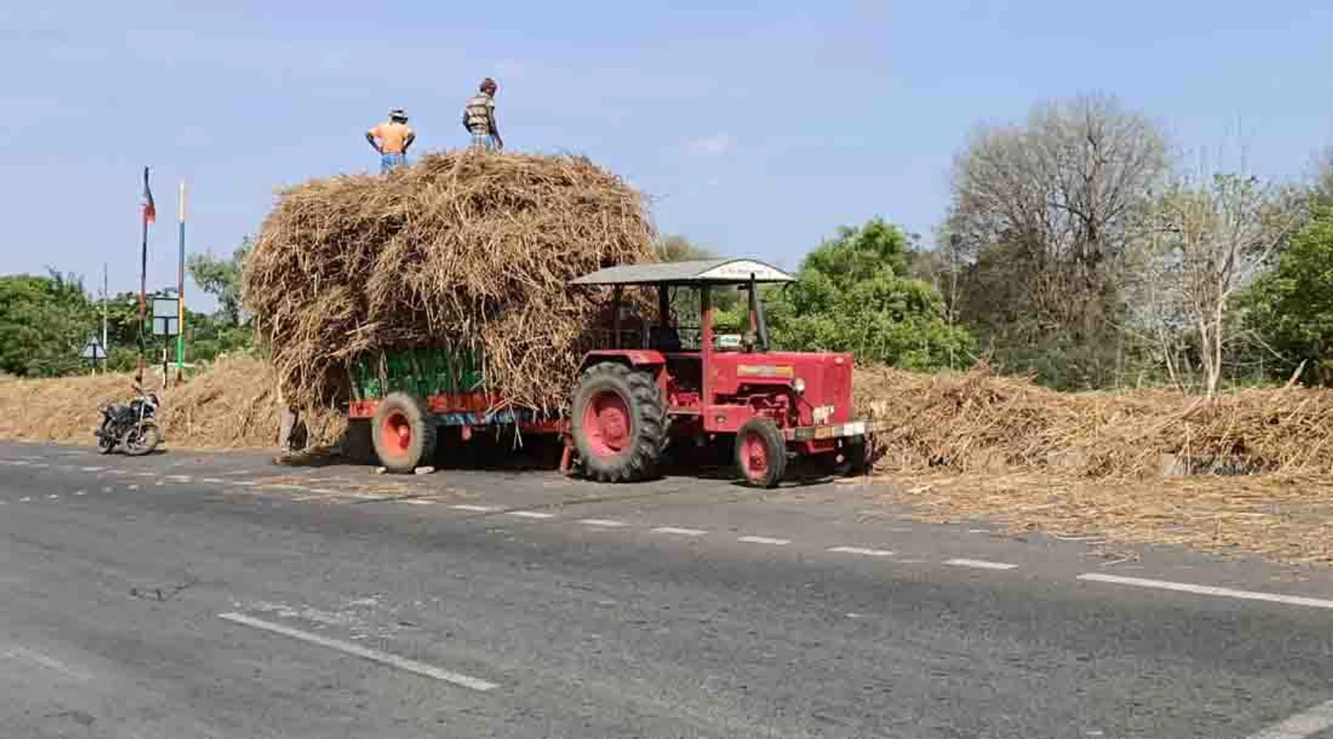 Natural fertilizer