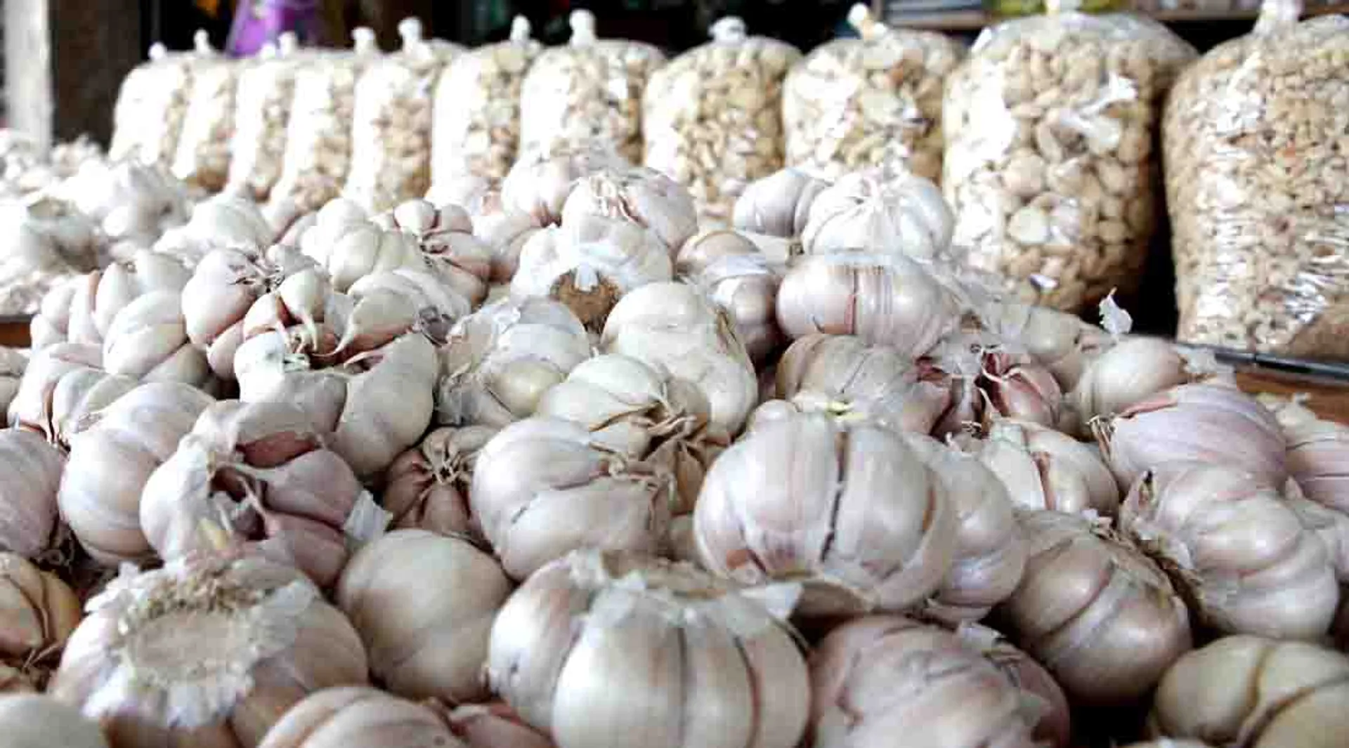 garlic