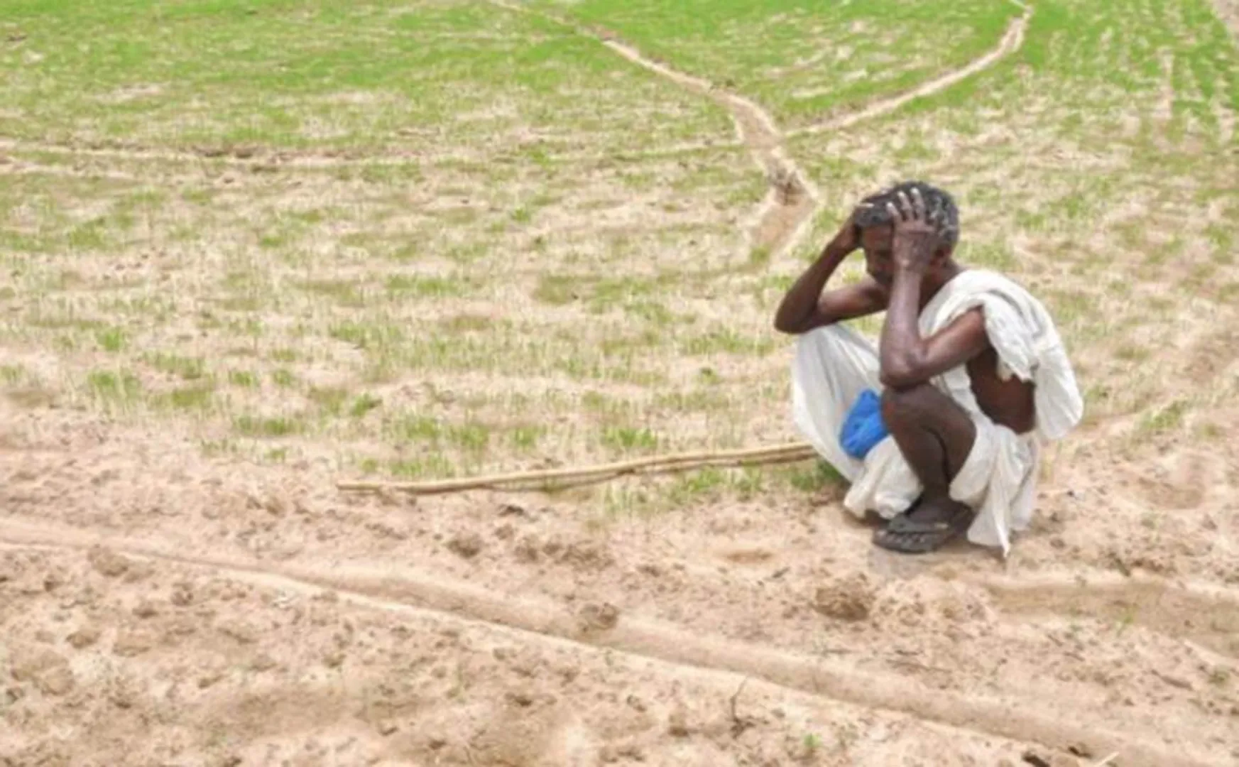 Ariyalur Farmers issue 